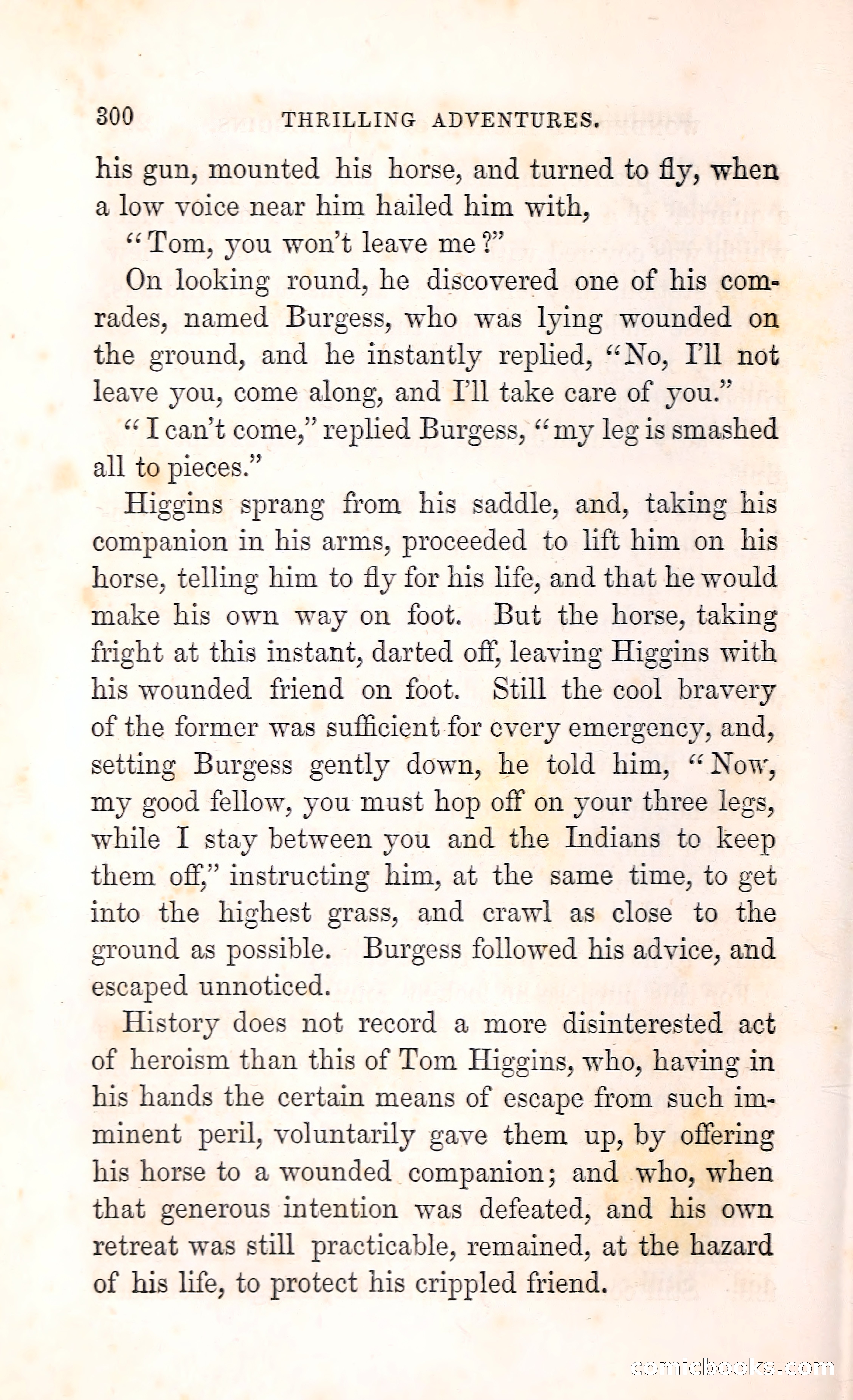Thrilling Adventures Among the Indians — page 313 of 396