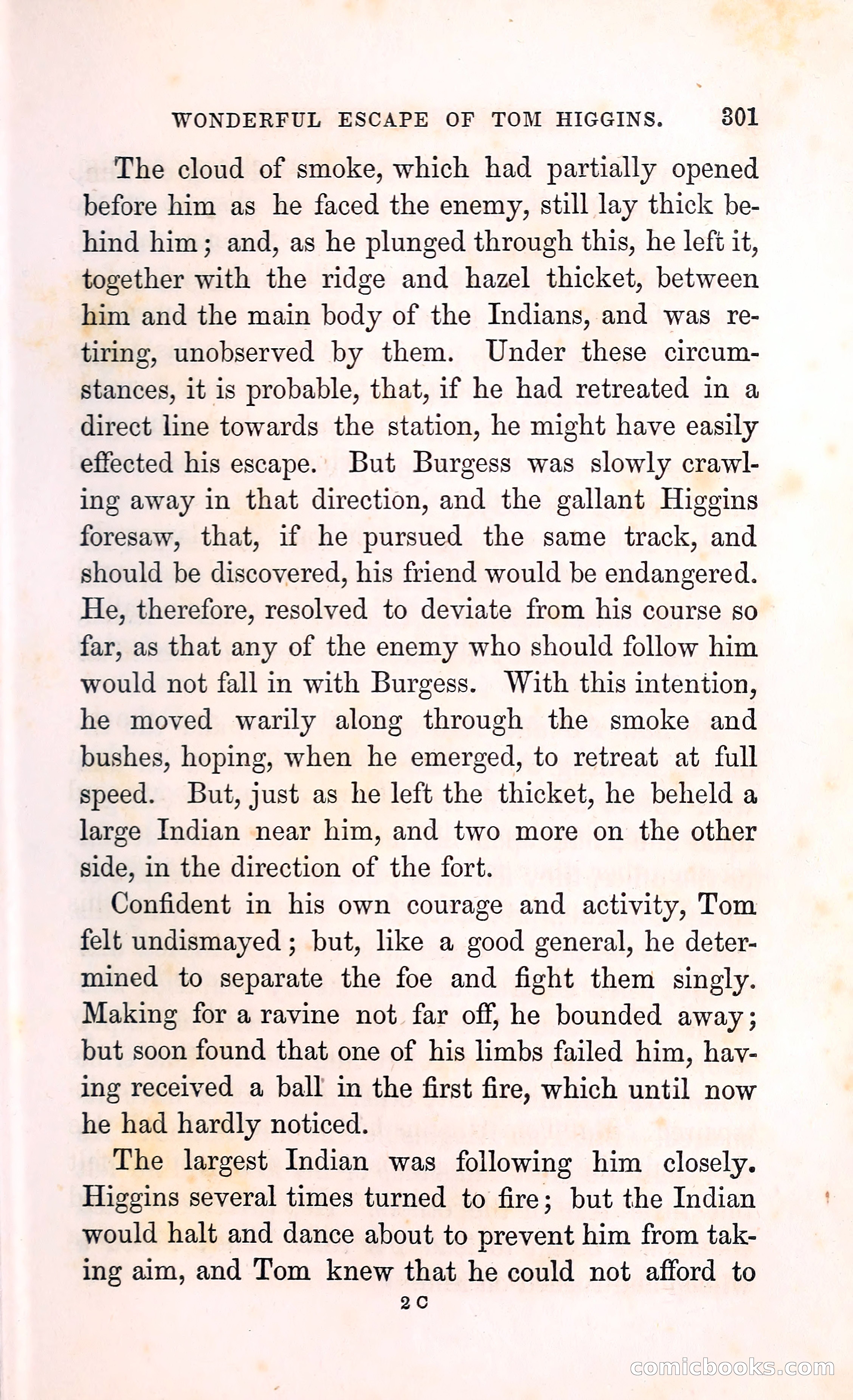 Thrilling Adventures Among the Indians — page 314 of 396