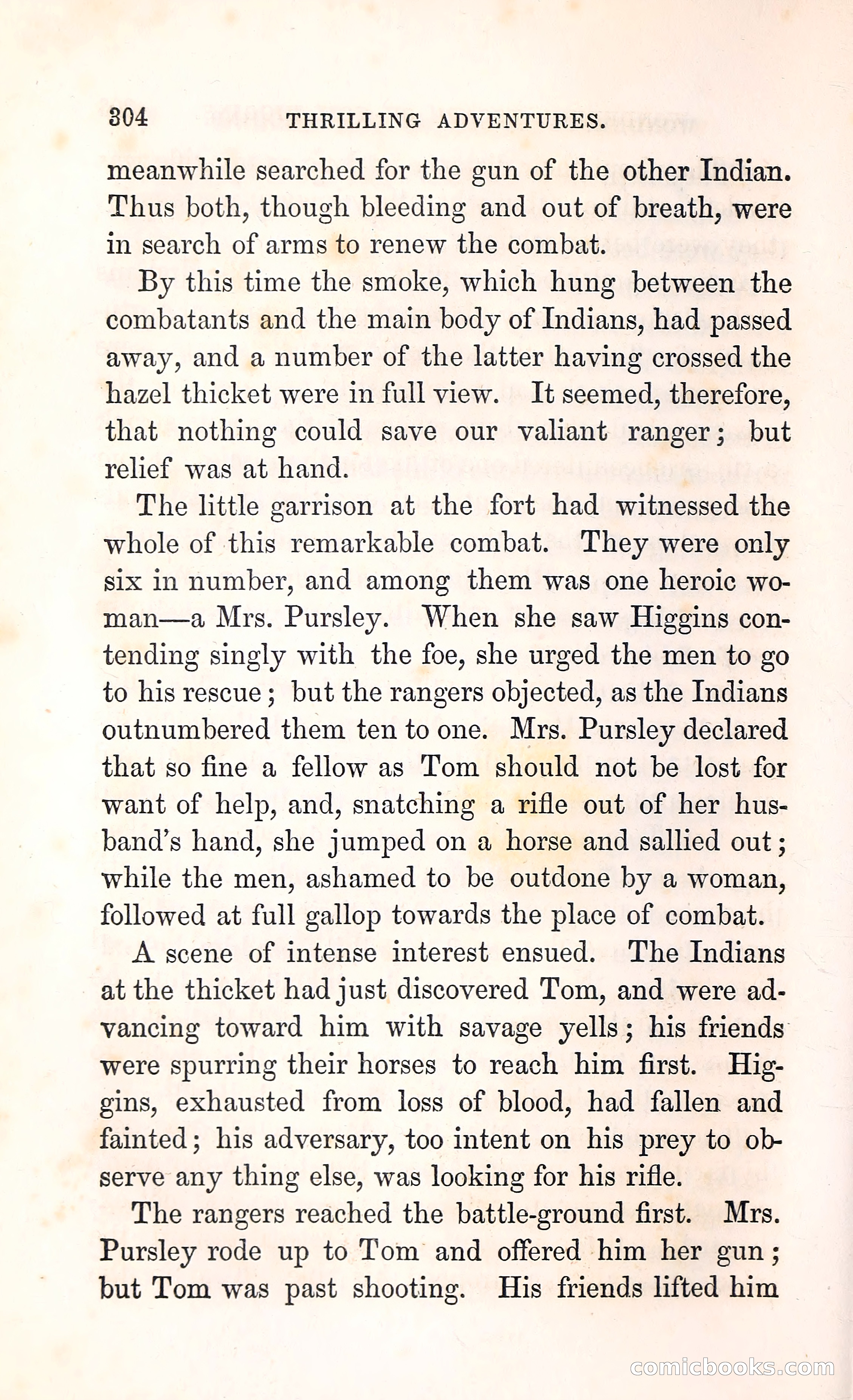 Thrilling Adventures Among the Indians — page 317 of 396