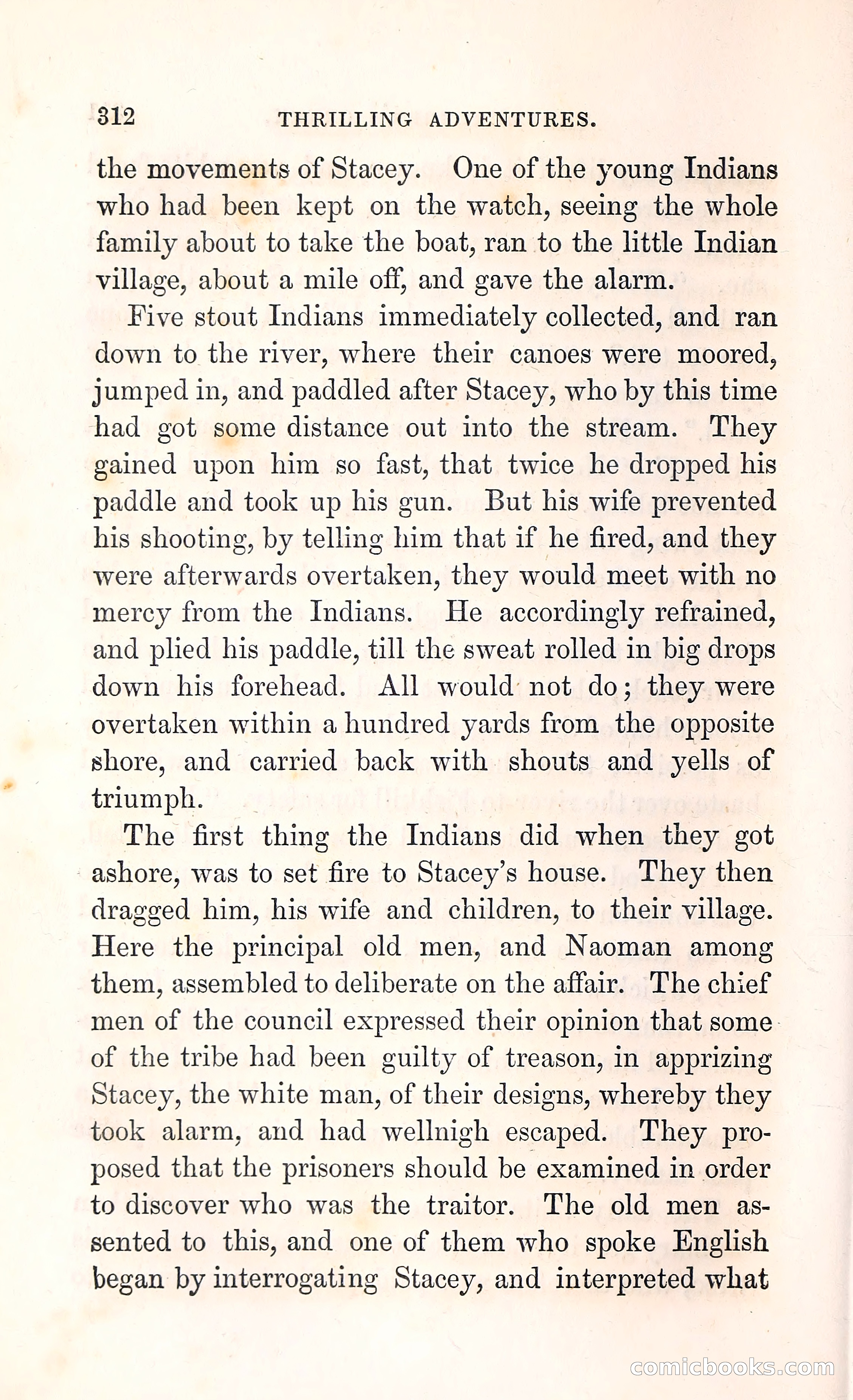 Thrilling Adventures Among the Indians — page 325 of 396