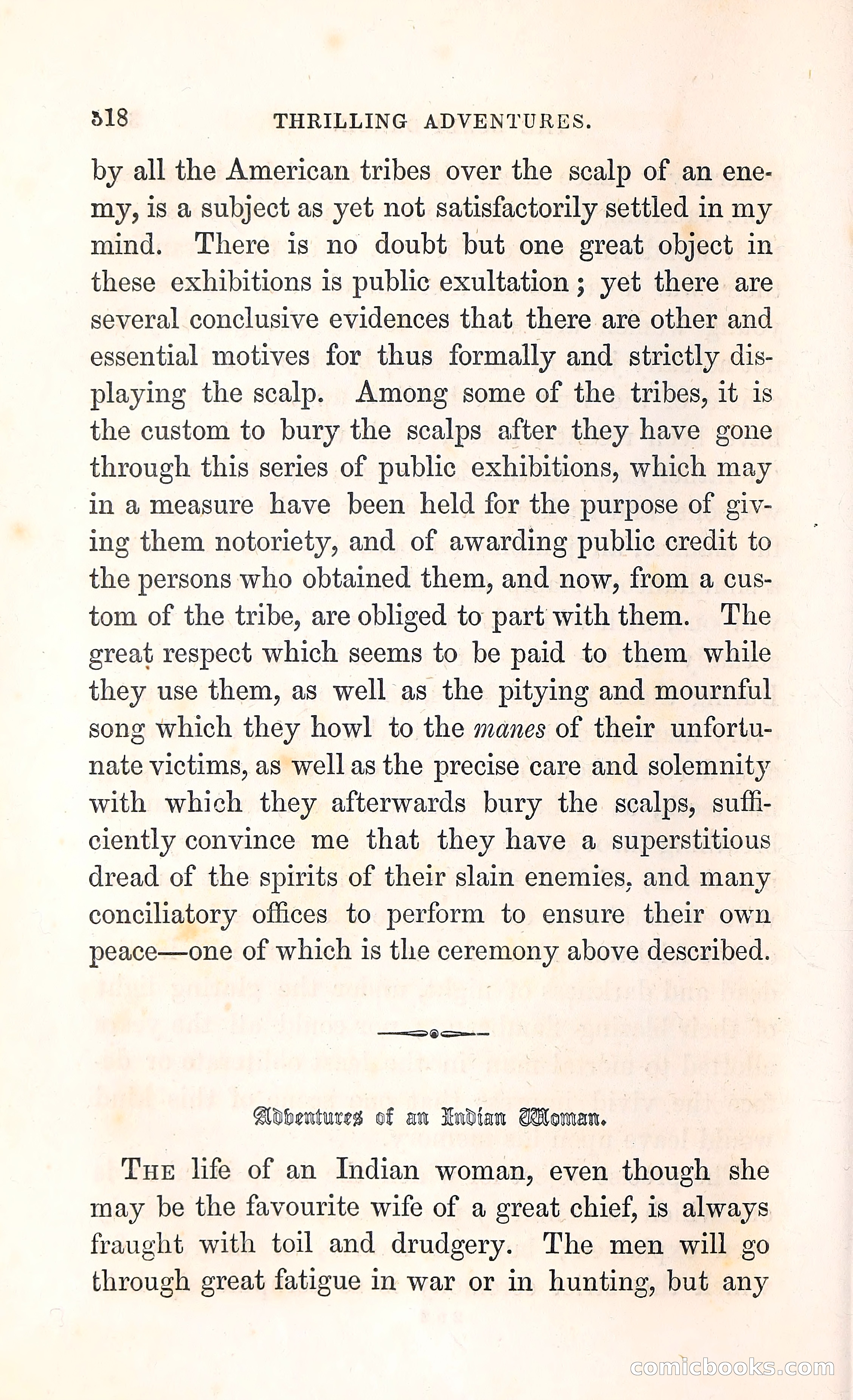 Thrilling Adventures Among the Indians — page 331 of 396