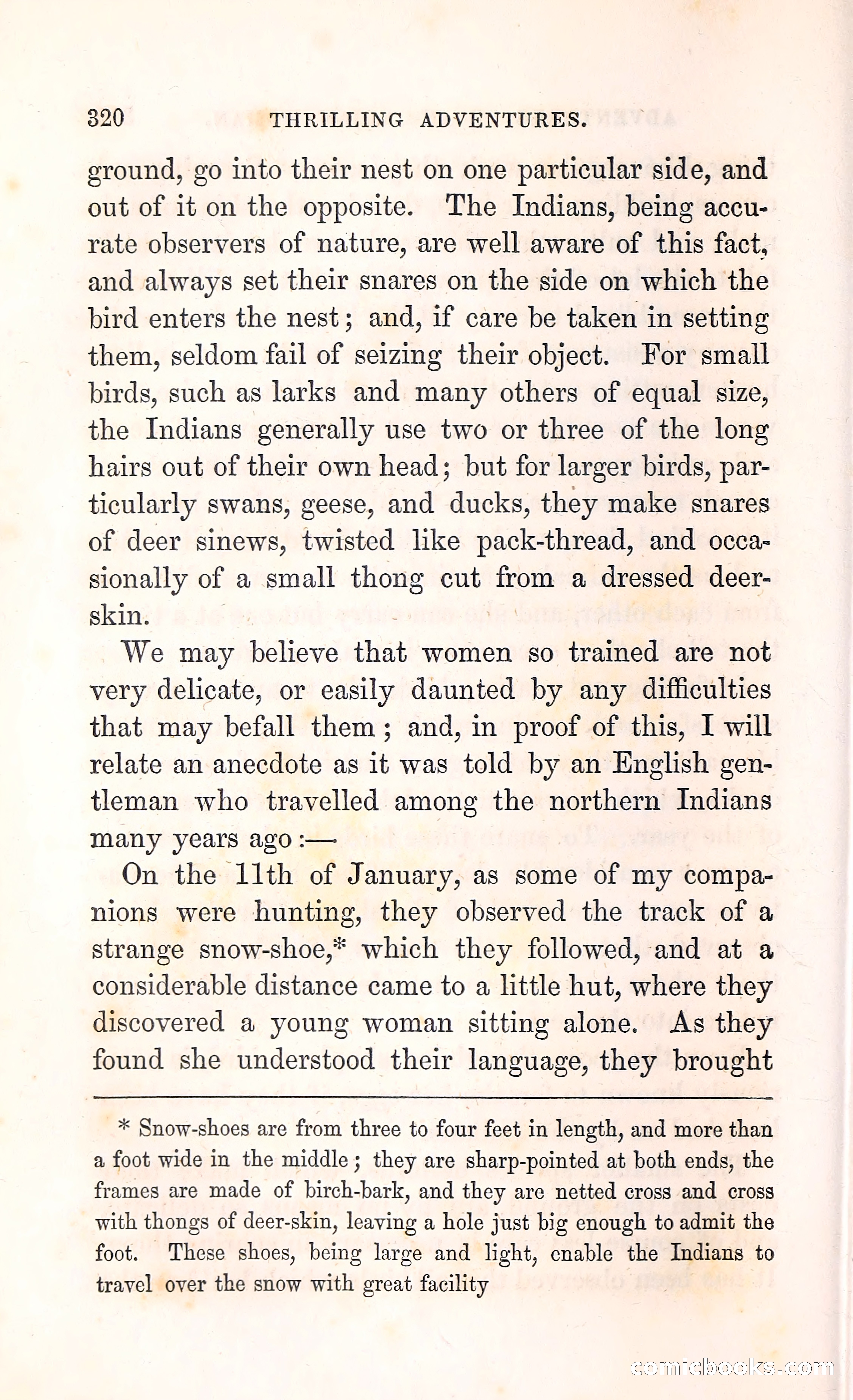 Thrilling Adventures Among the Indians — page 333 of 396