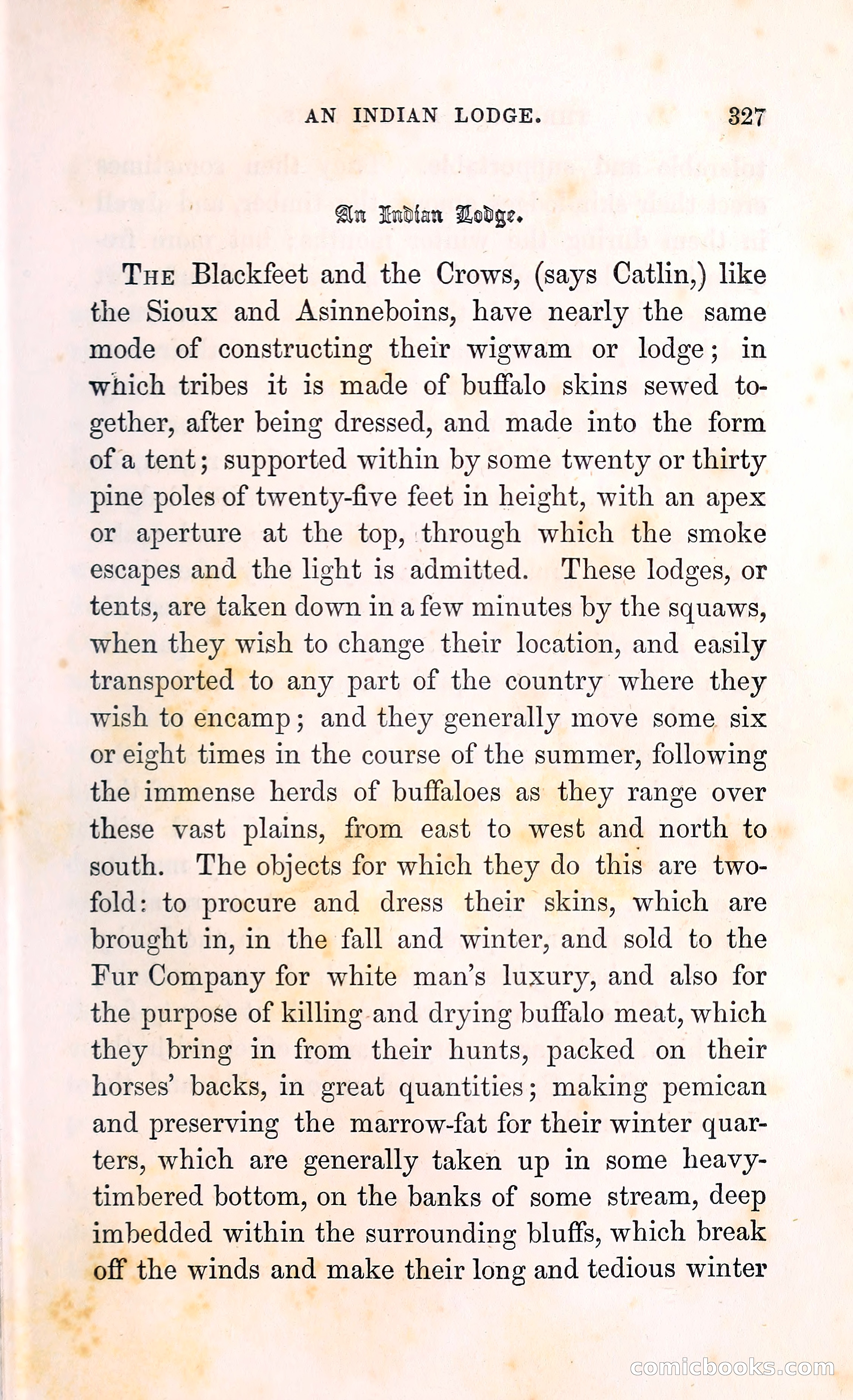 Thrilling Adventures Among the Indians — page 340 of 396