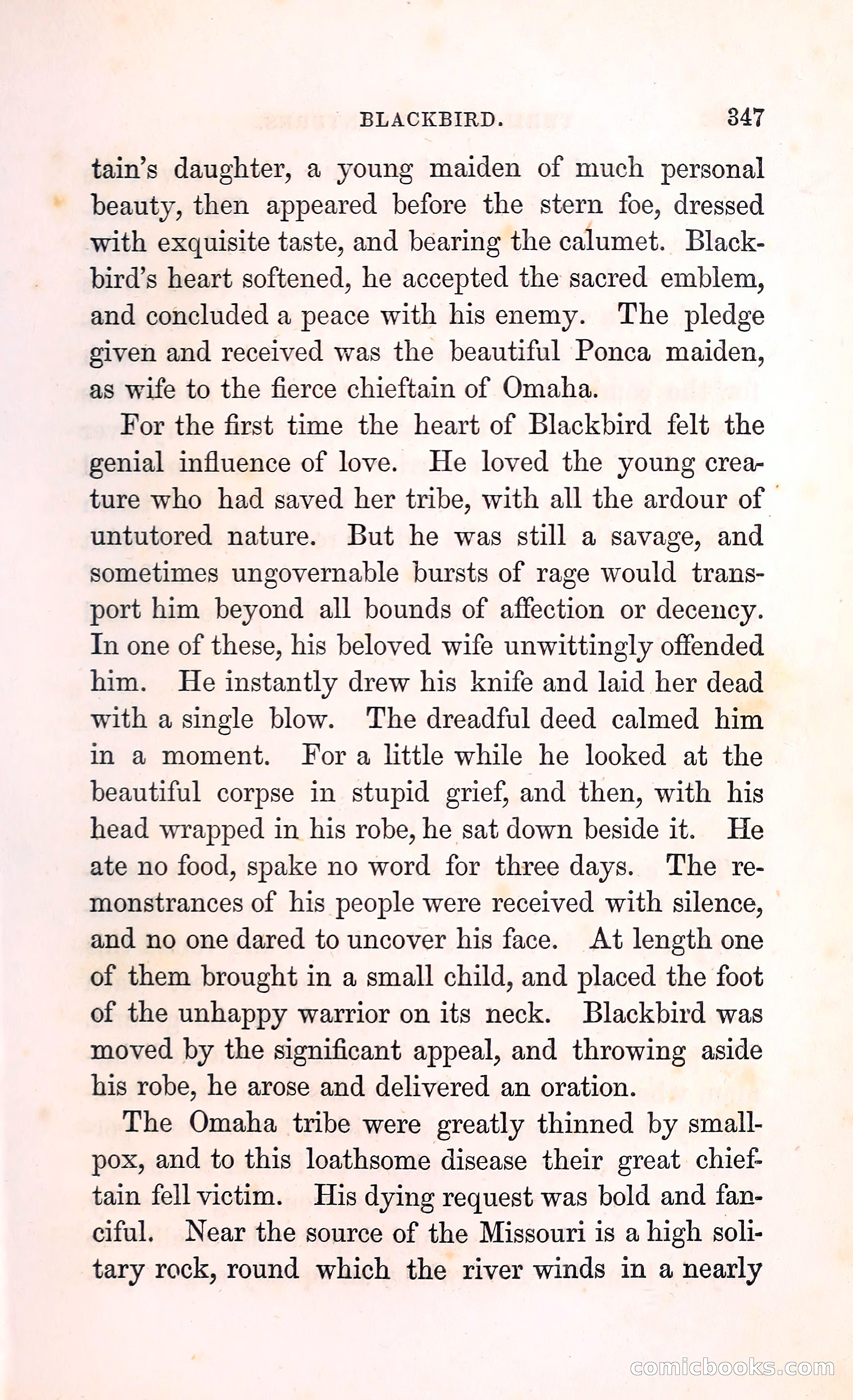 Thrilling Adventures Among the Indians — page 360 of 396