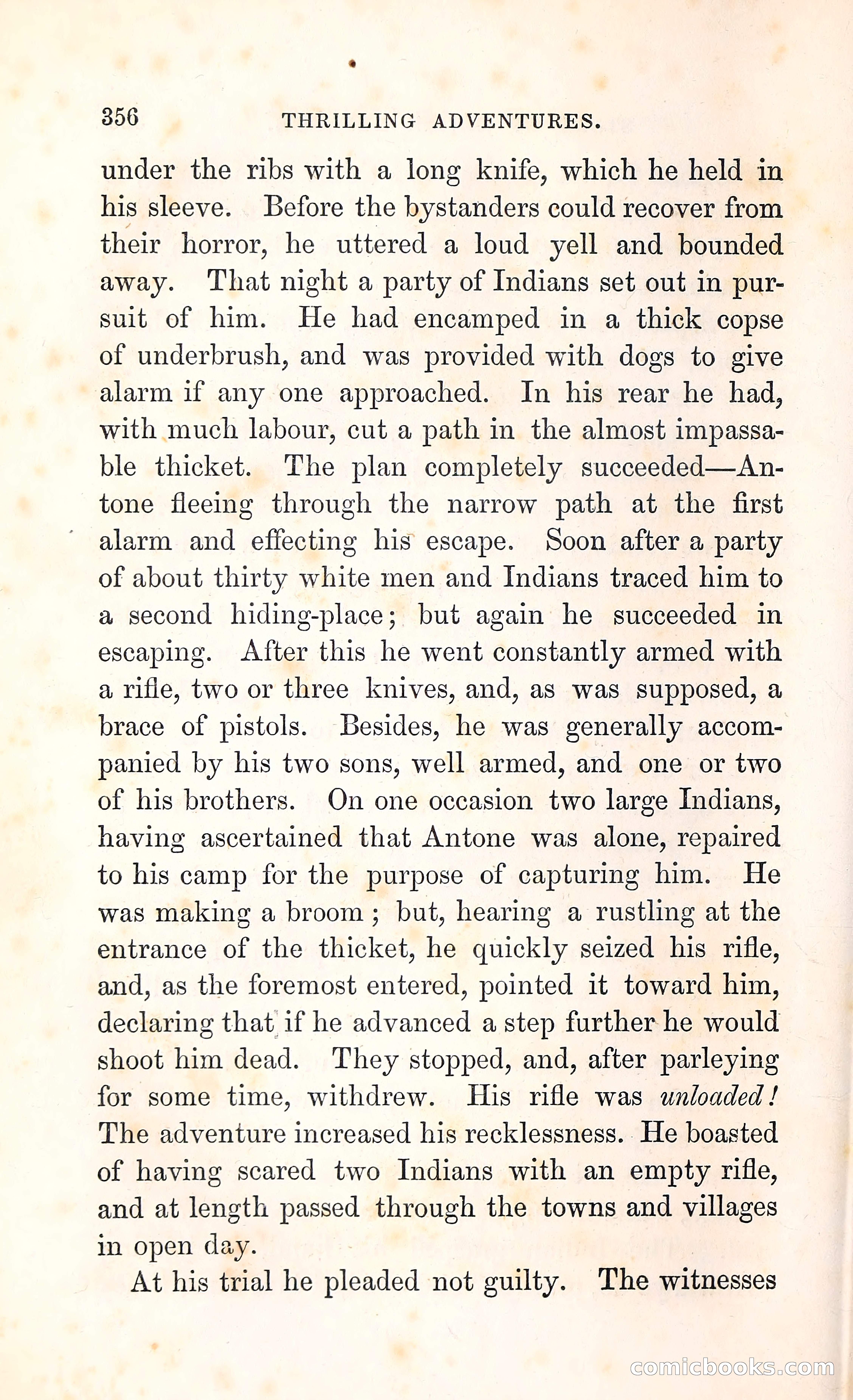 Thrilling Adventures Among the Indians — page 369 of 396