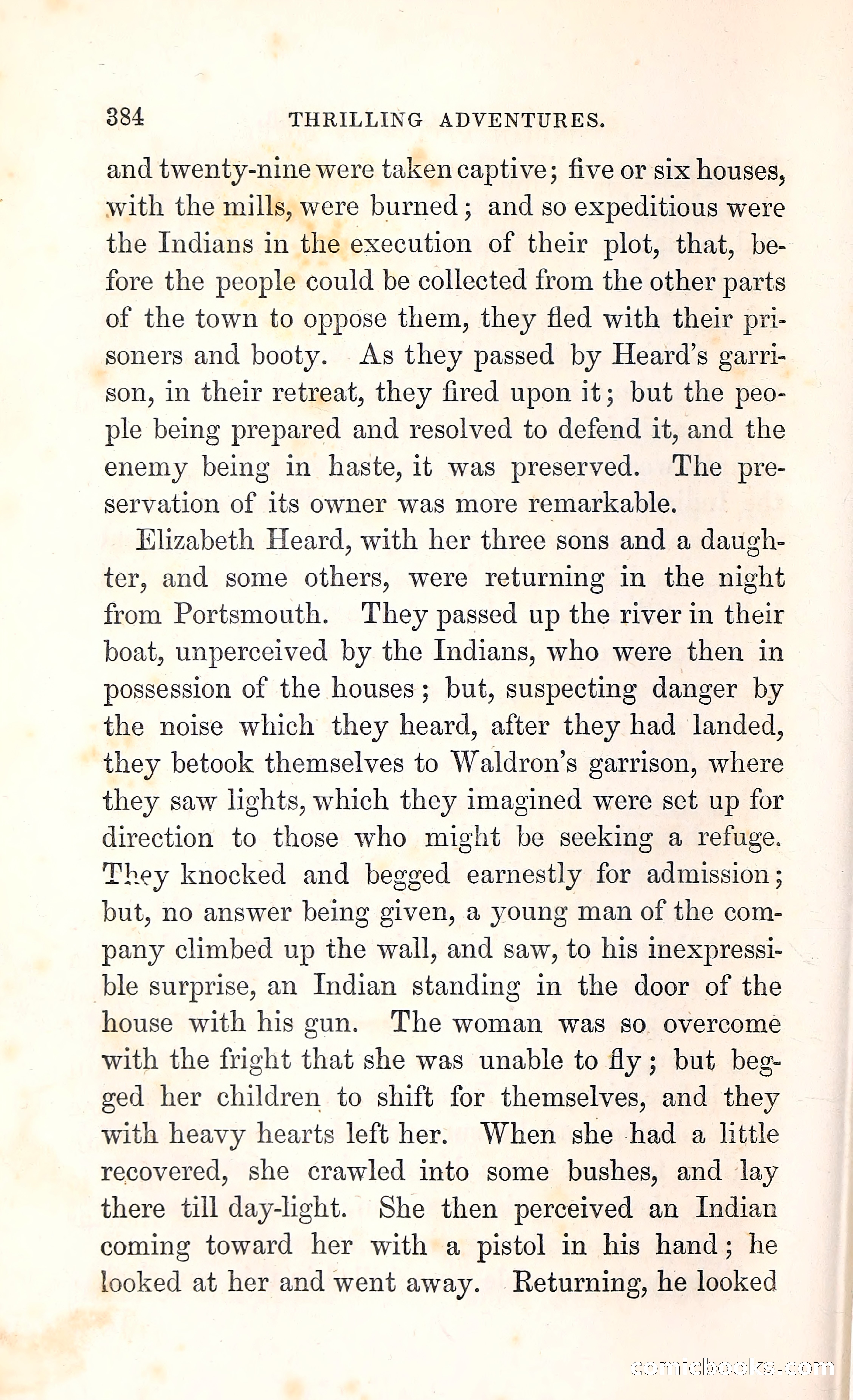 Thrilling Adventures Among the Indians — page 397 of 396