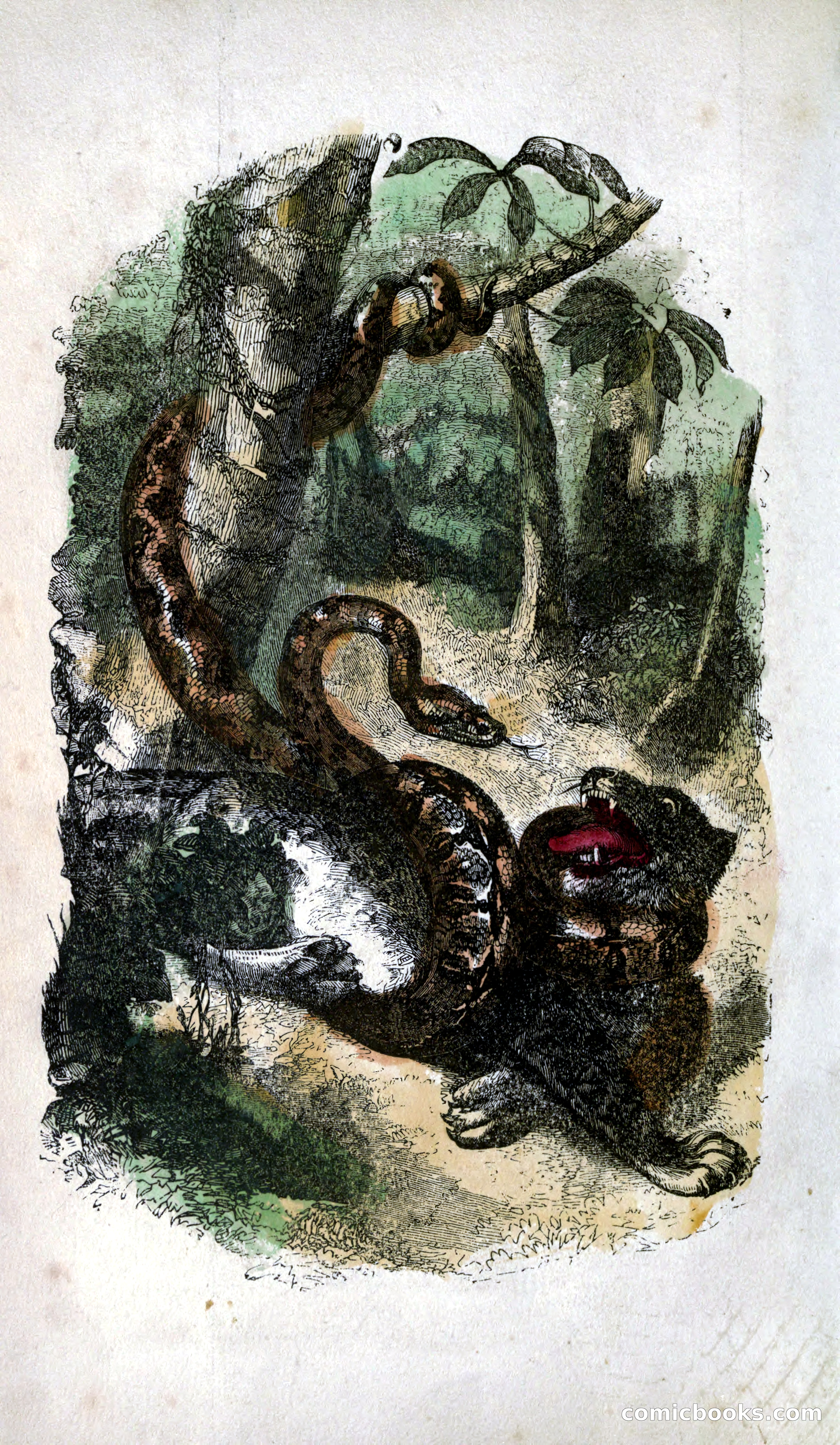 Thrilling Adventures of Hunters, in the Old World and the New — page 10 of 399