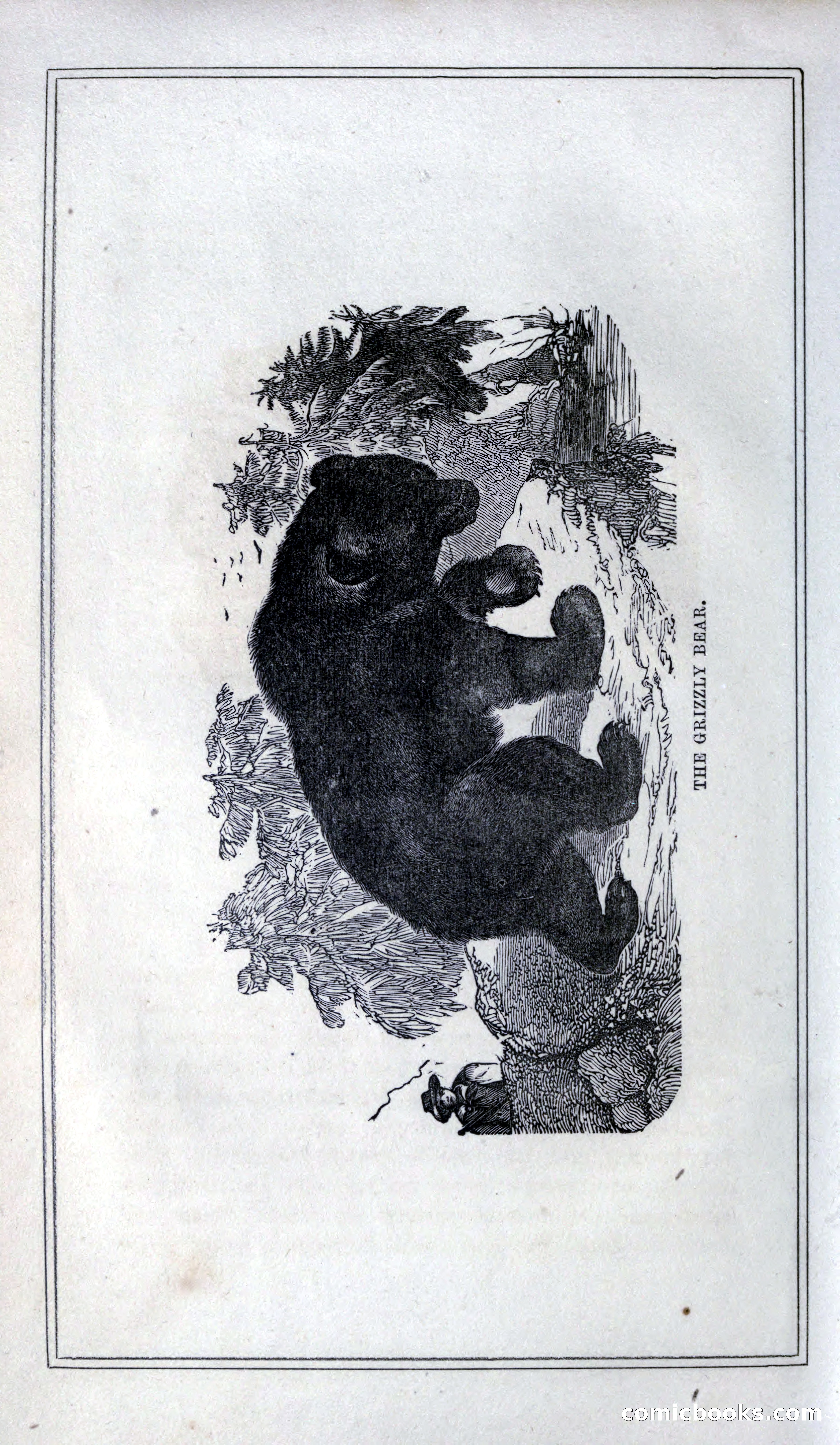 Thrilling Adventures of Hunters, in the Old World and the New — page 24 of 399