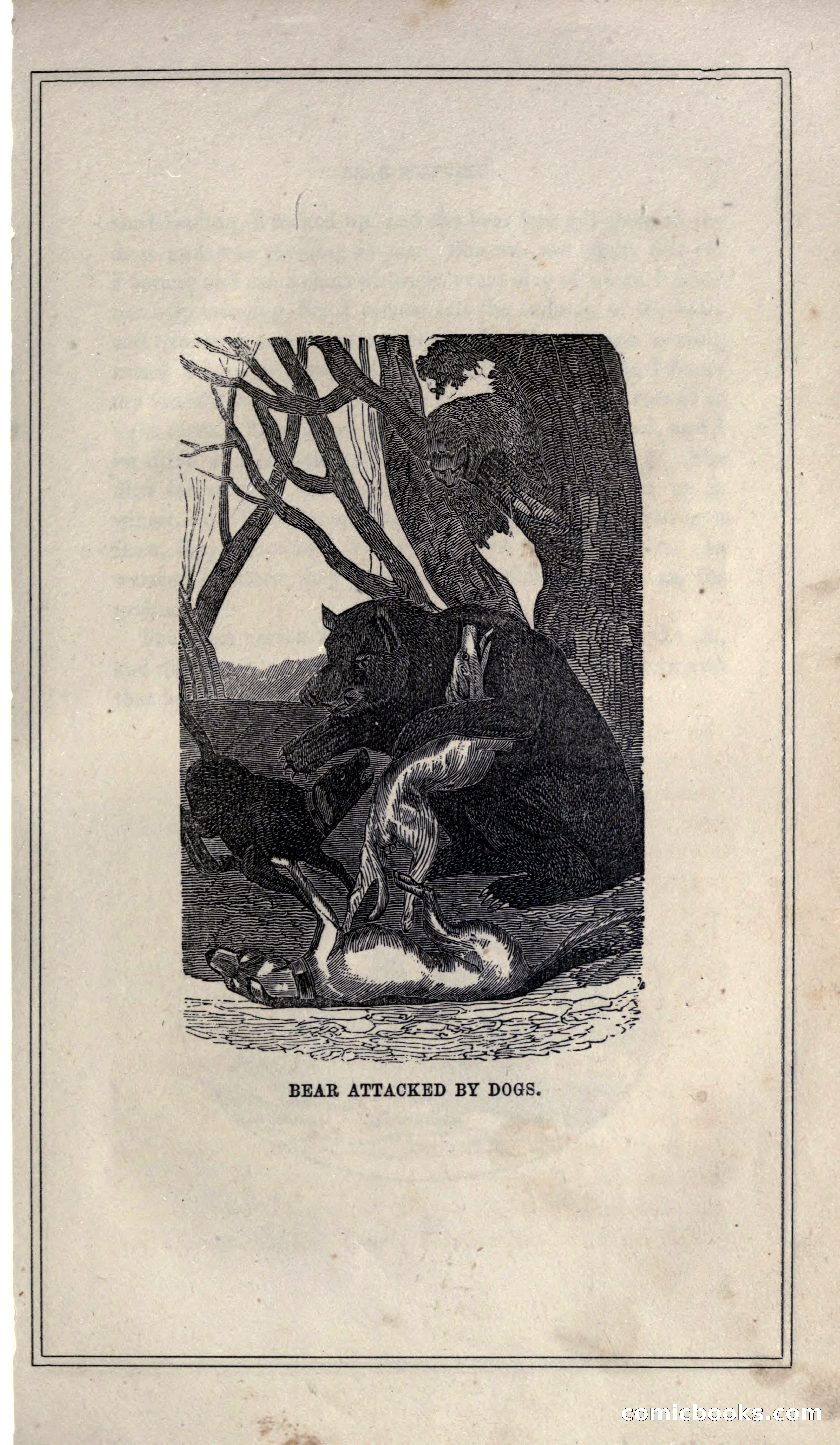 Thrilling Adventures of Hunters, in the Old World and the New — page 27 of 399