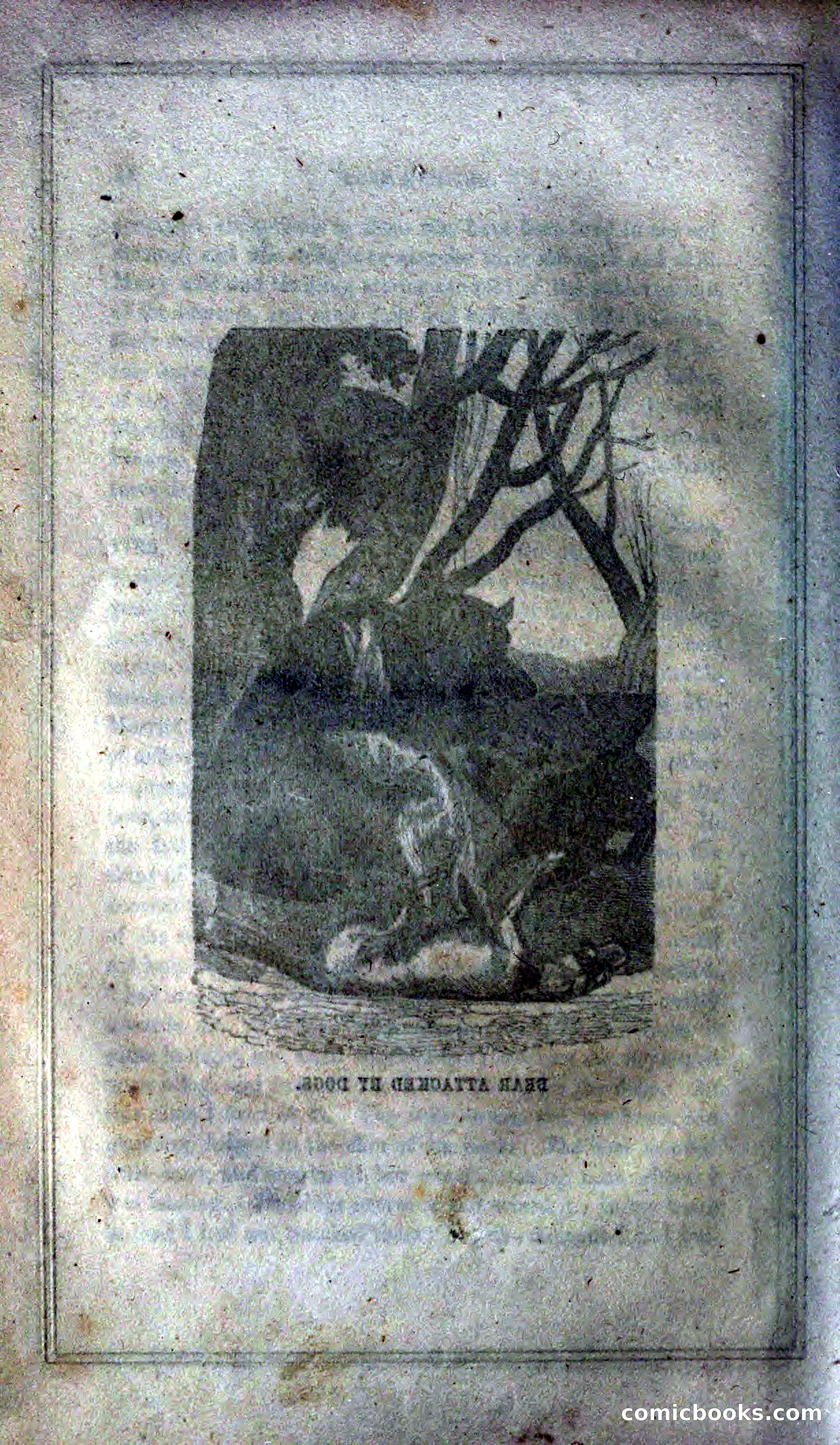 Thrilling Adventures of Hunters, in the Old World and the New — page 28 of 399