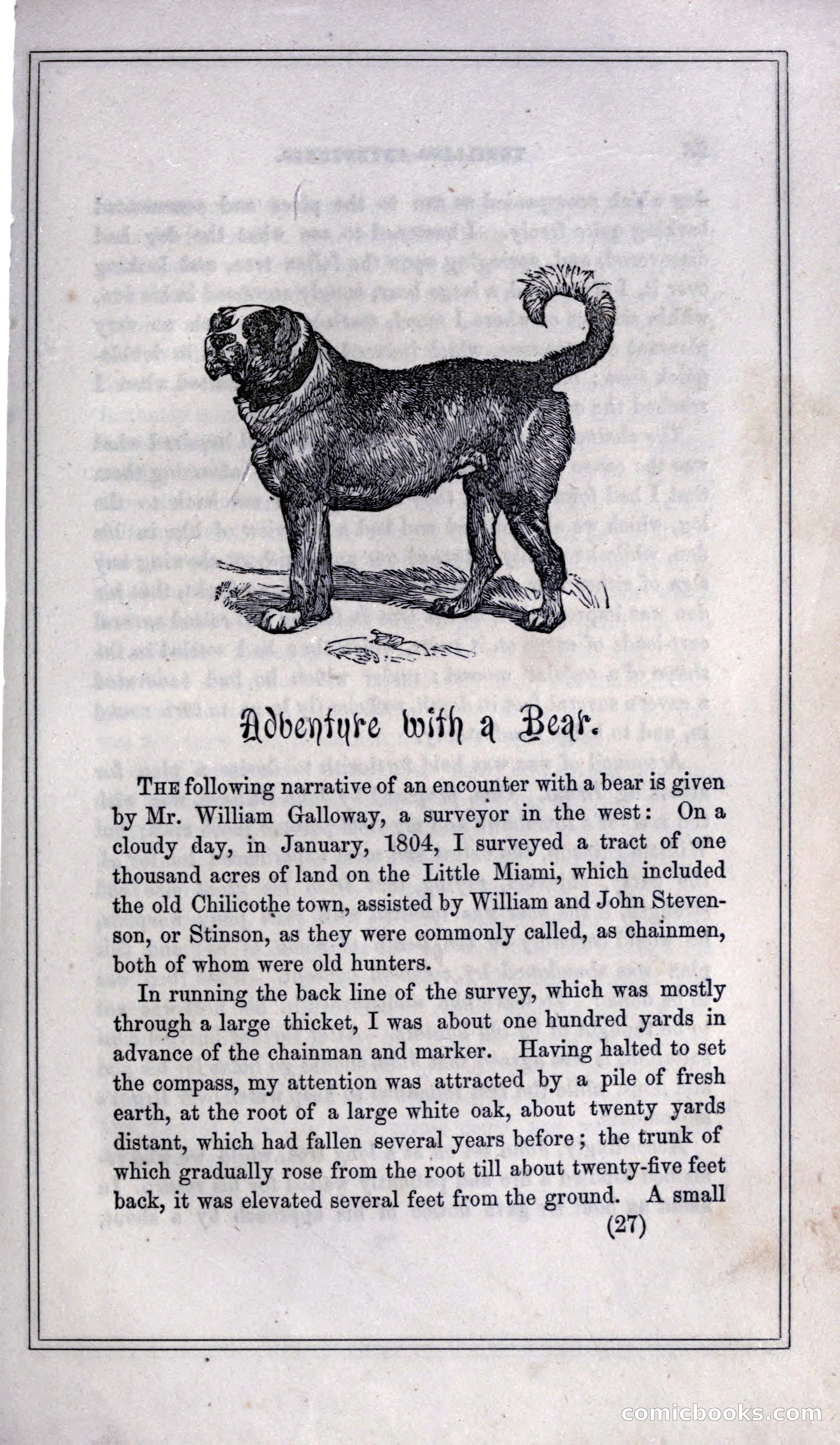 Thrilling Adventures of Hunters, in the Old World and the New — page 39 of 399
