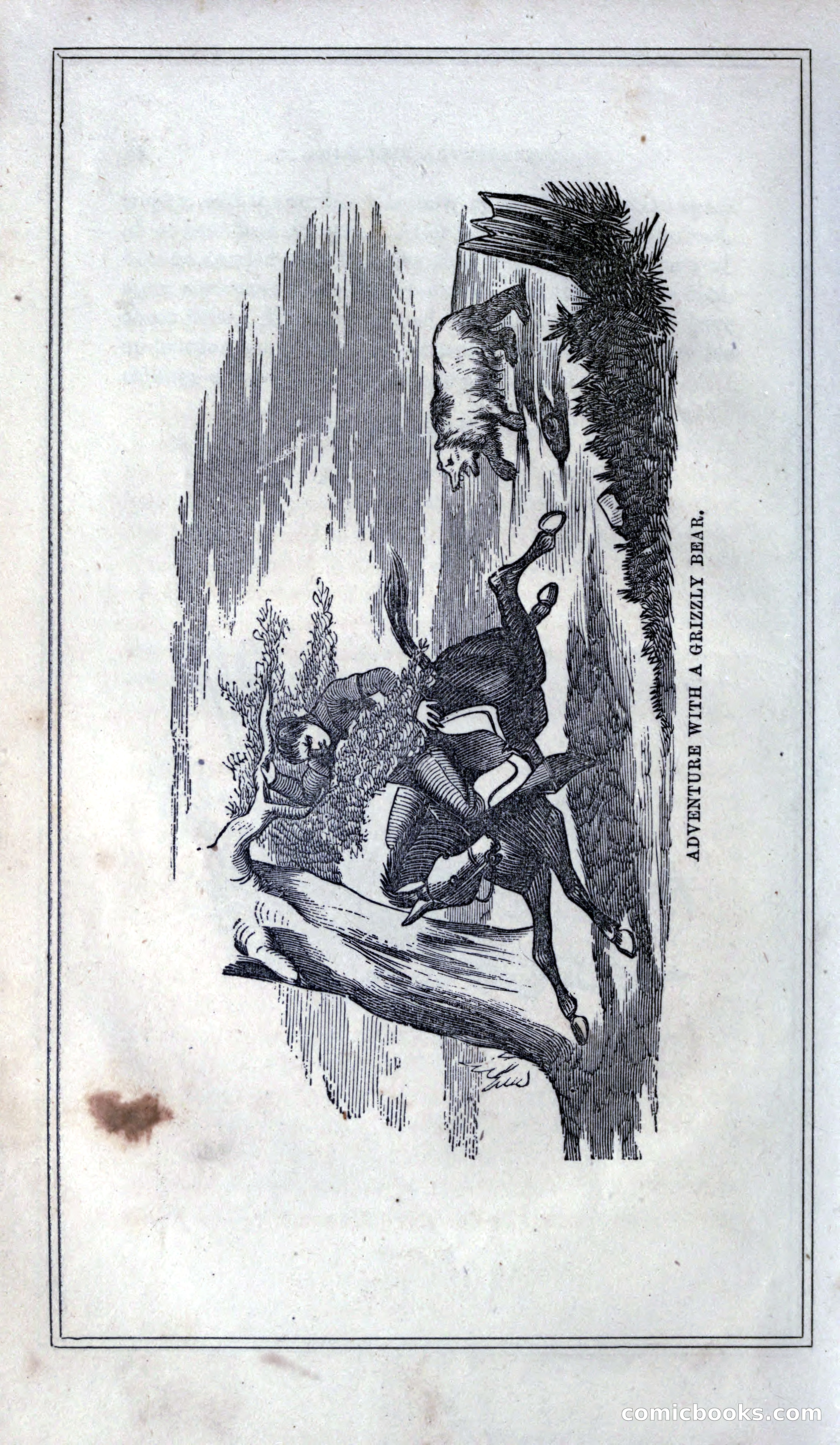 Thrilling Adventures of Hunters, in the Old World and the New — page 48 of 399