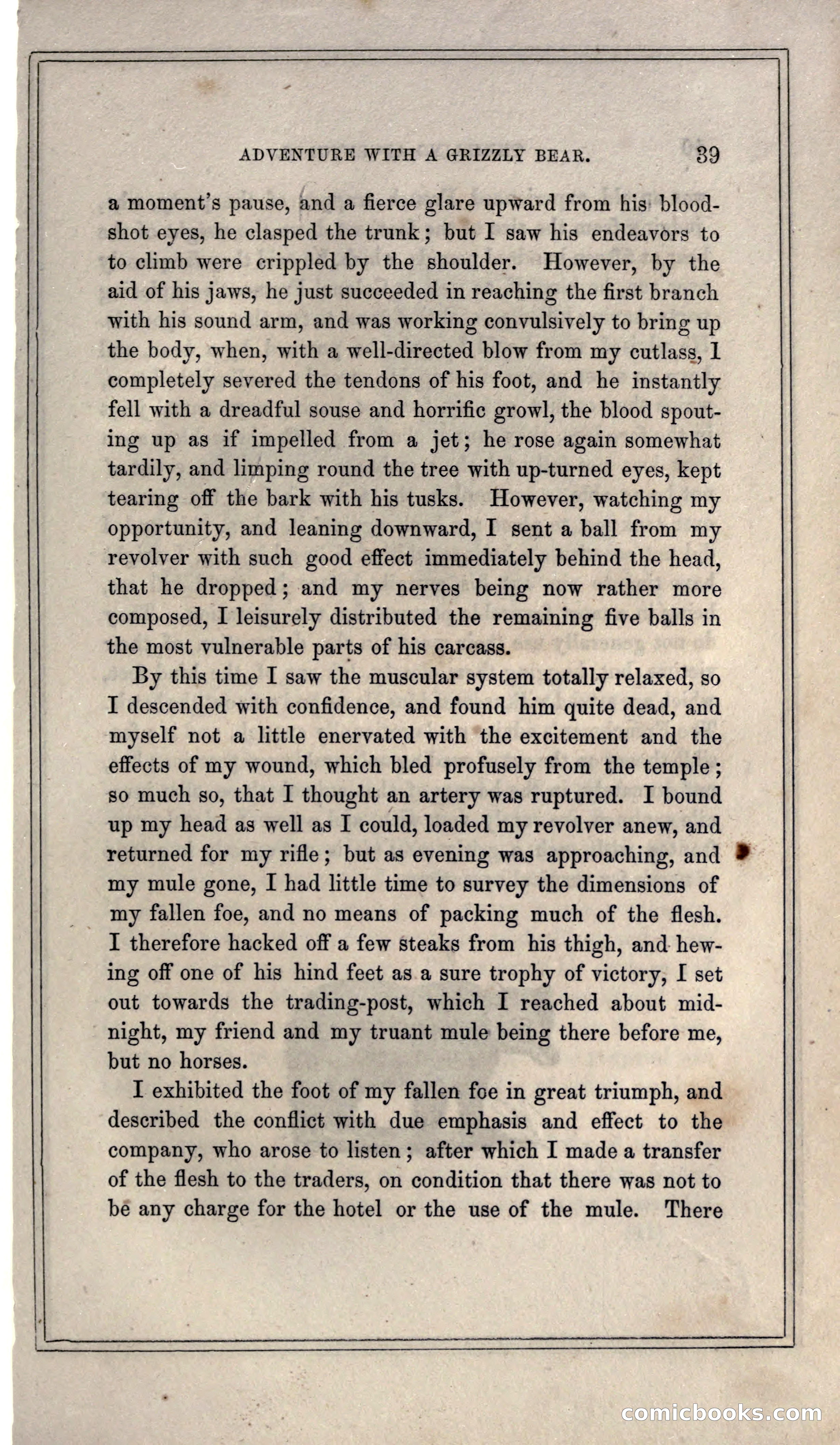 Thrilling Adventures of Hunters, in the Old World and the New — page 51 of 399
