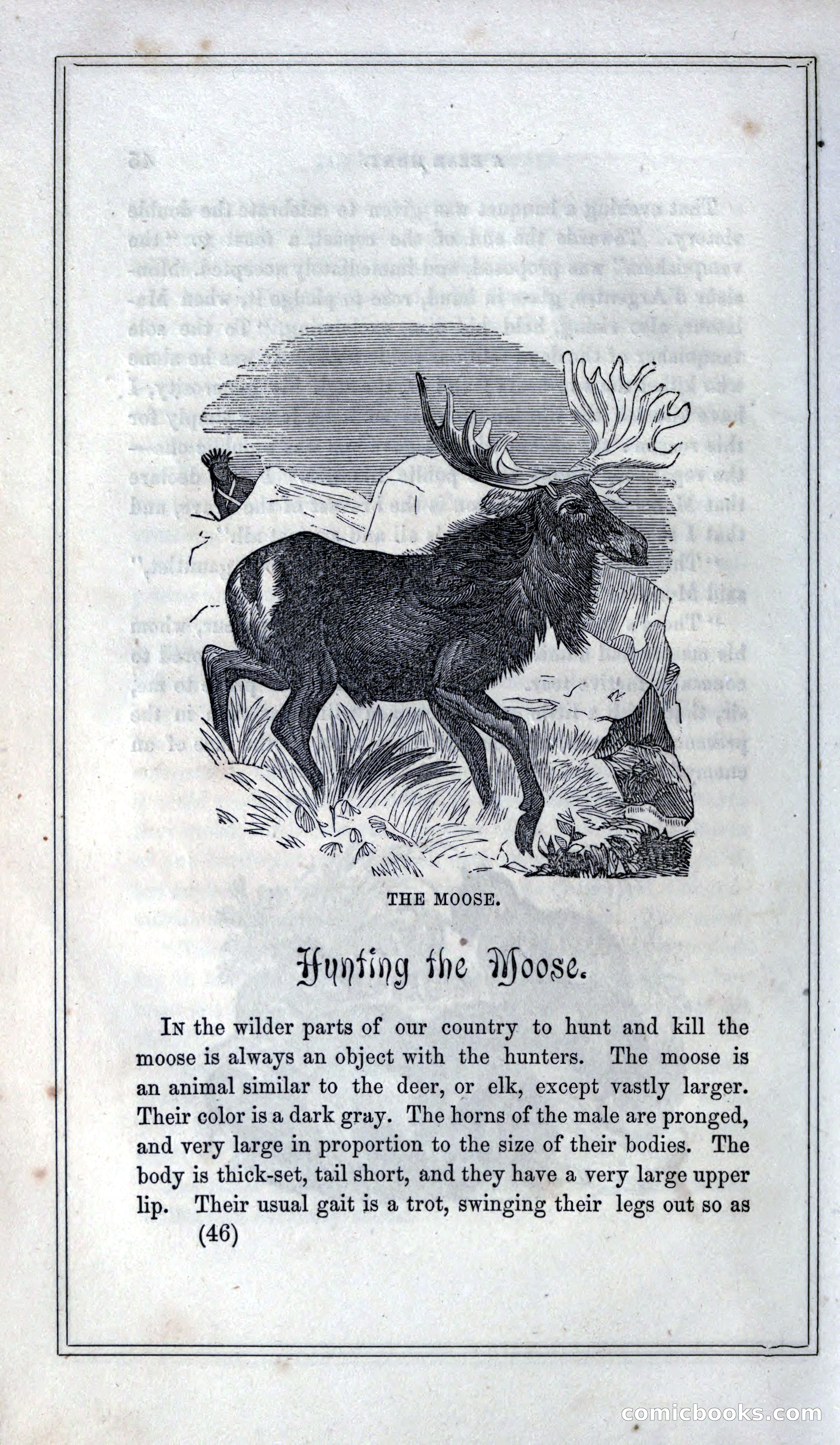 Thrilling Adventures of Hunters, in the Old World and the New — page 58 of 399