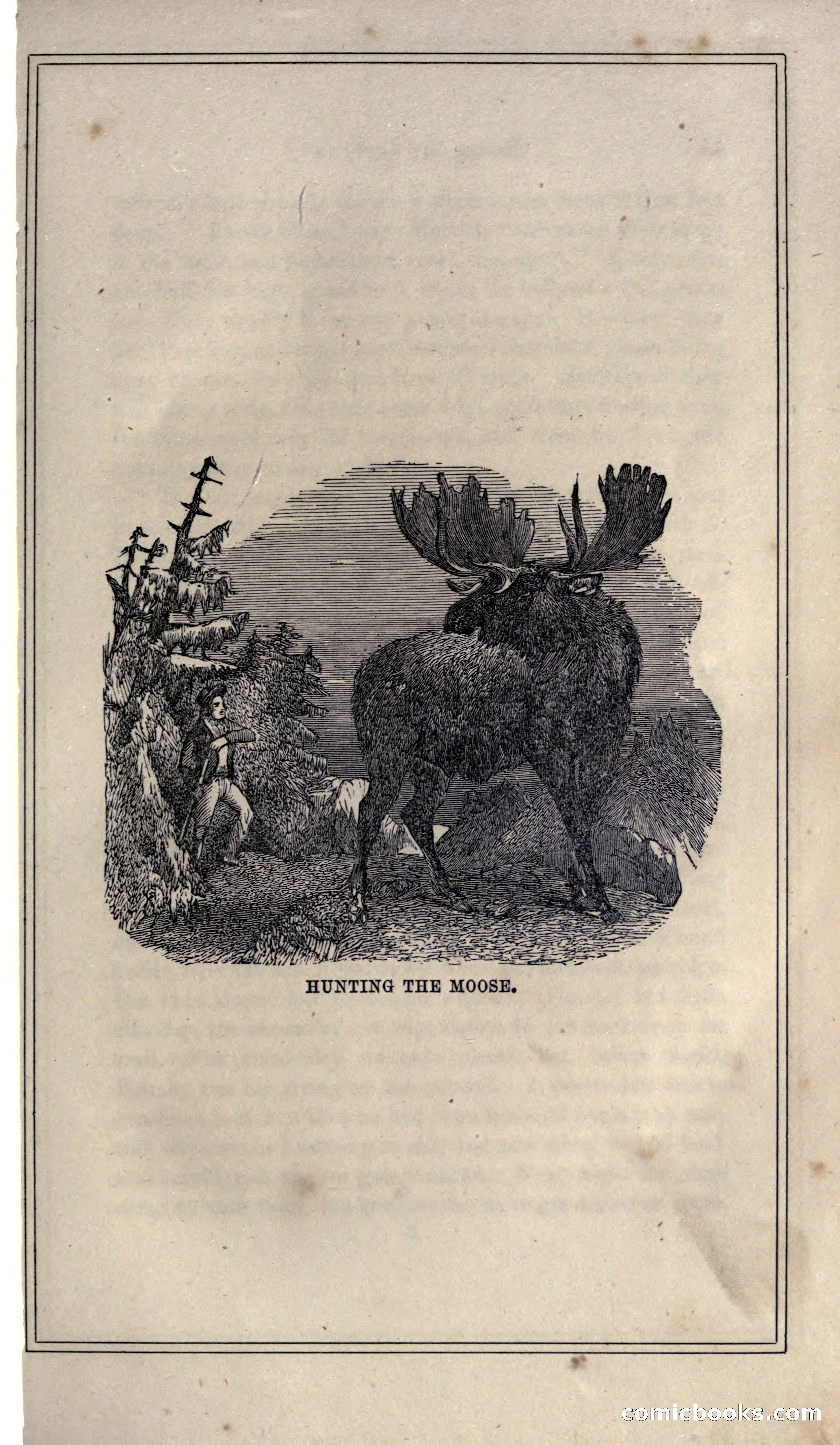 Thrilling Adventures of Hunters, in the Old World and the New — page 59 of 399
