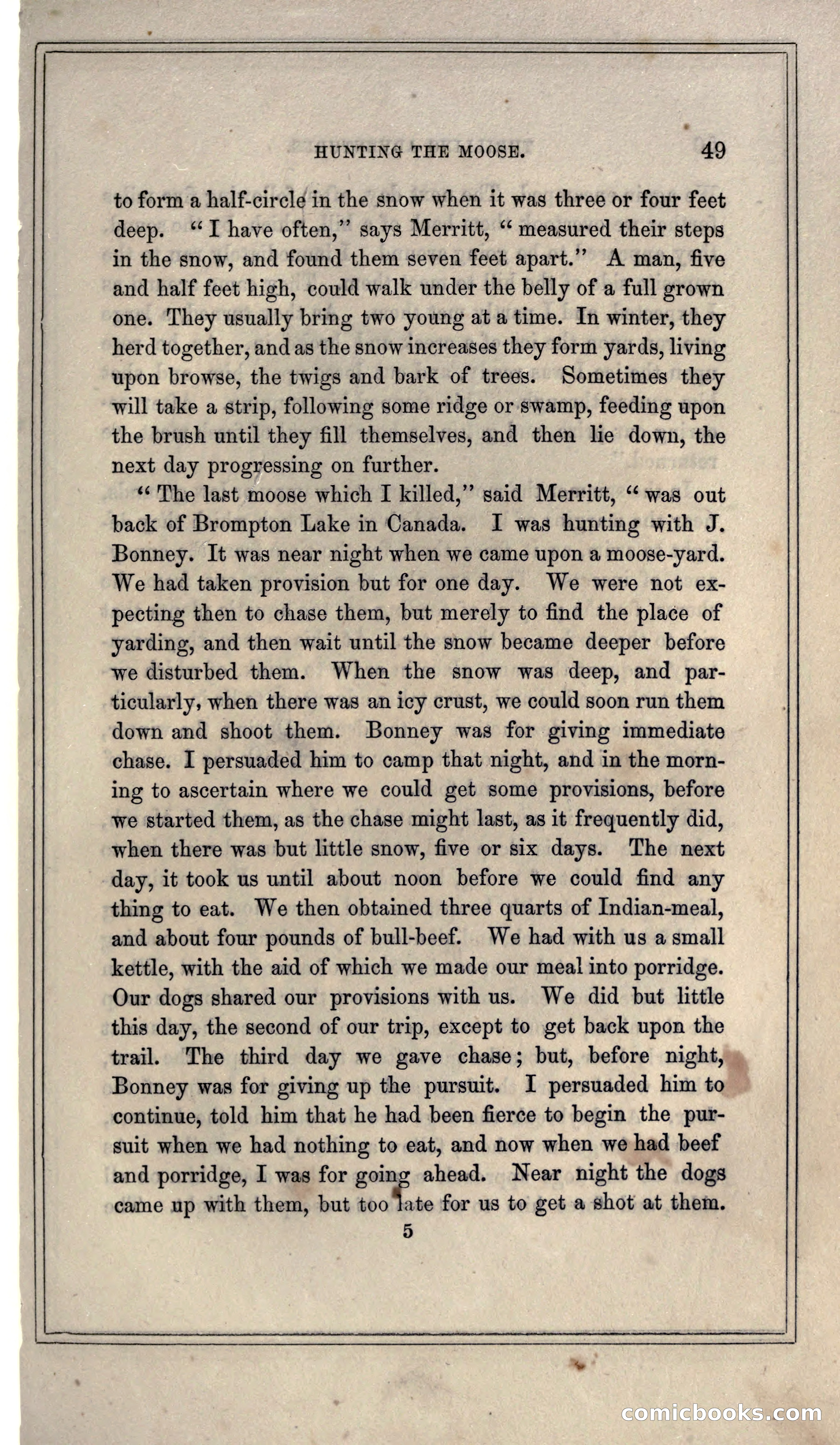 Thrilling Adventures of Hunters, in the Old World and the New — page 61 of 399