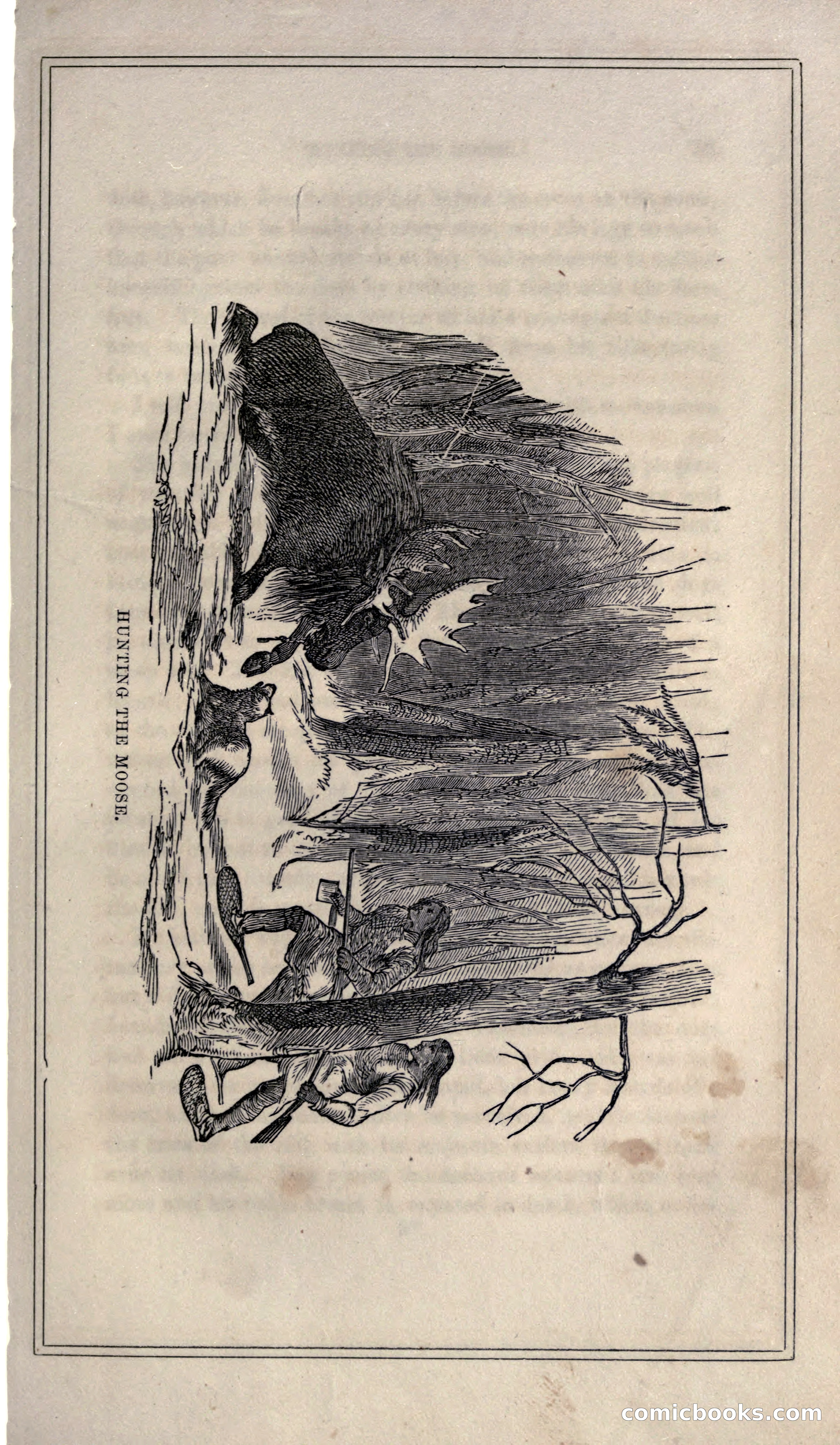 Thrilling Adventures of Hunters, in the Old World and the New — page 63 of 399