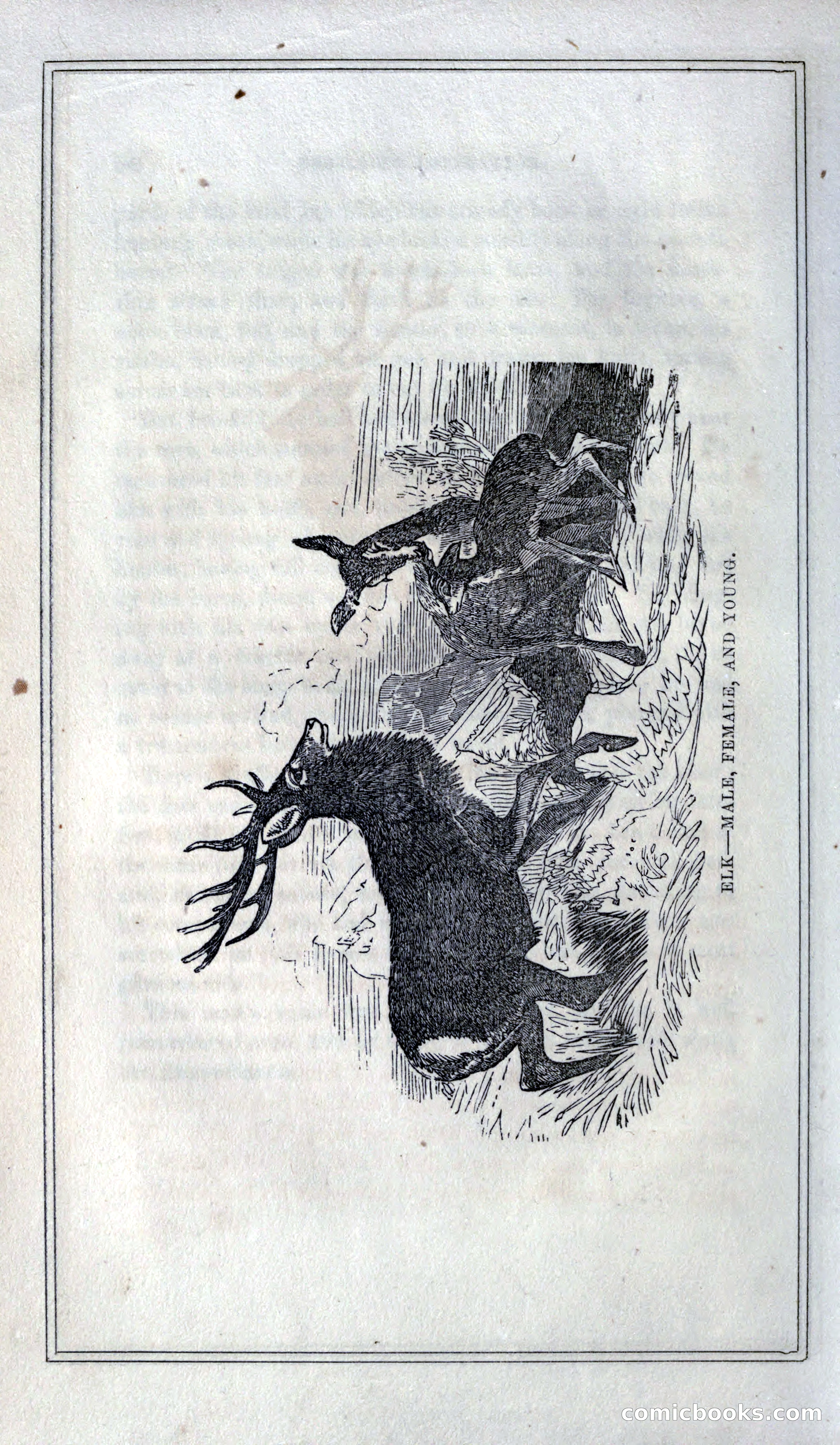 Thrilling Adventures of Hunters, in the Old World and the New — page 68 of 399