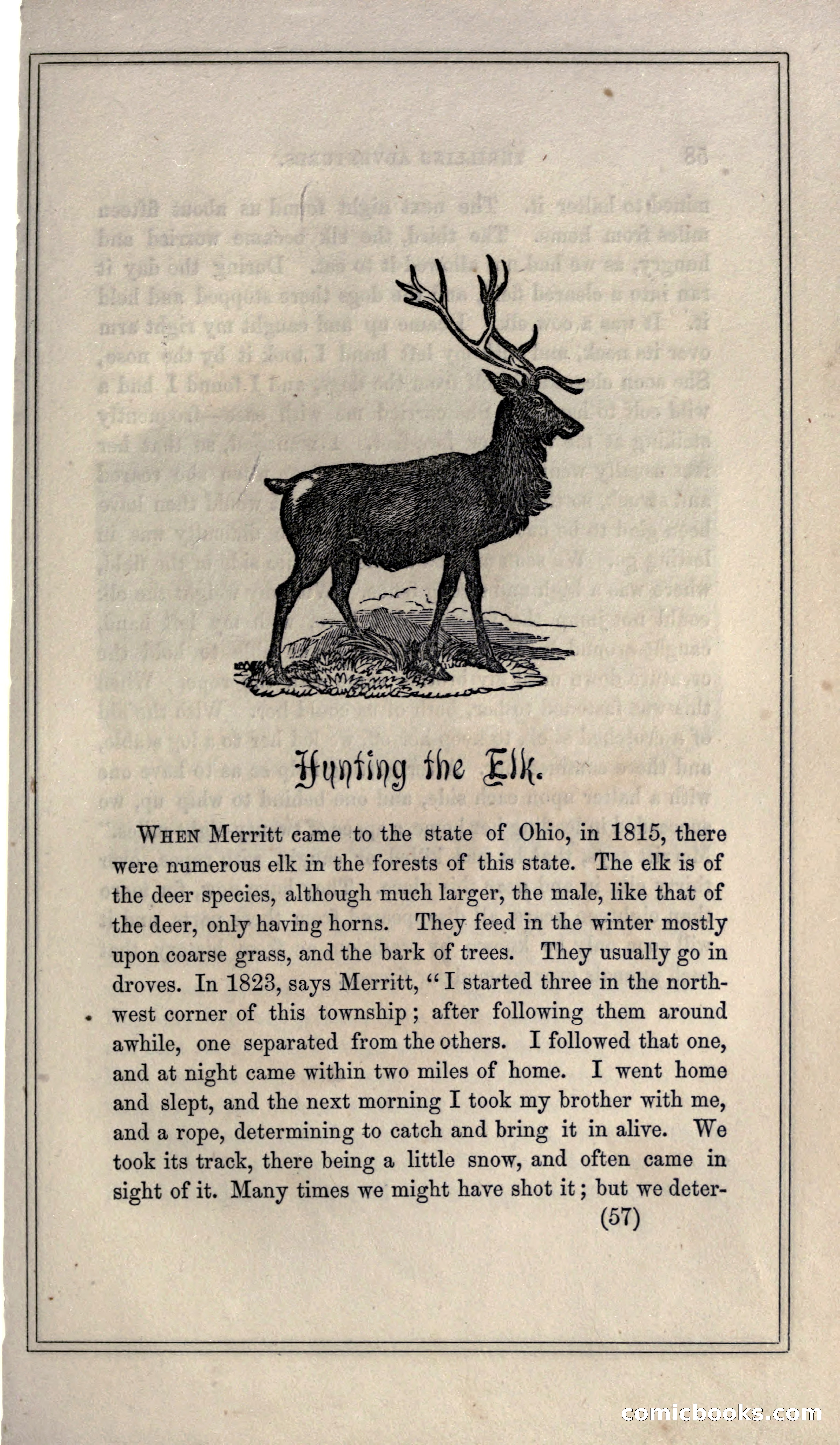 Thrilling Adventures of Hunters, in the Old World and the New — page 69 of 399