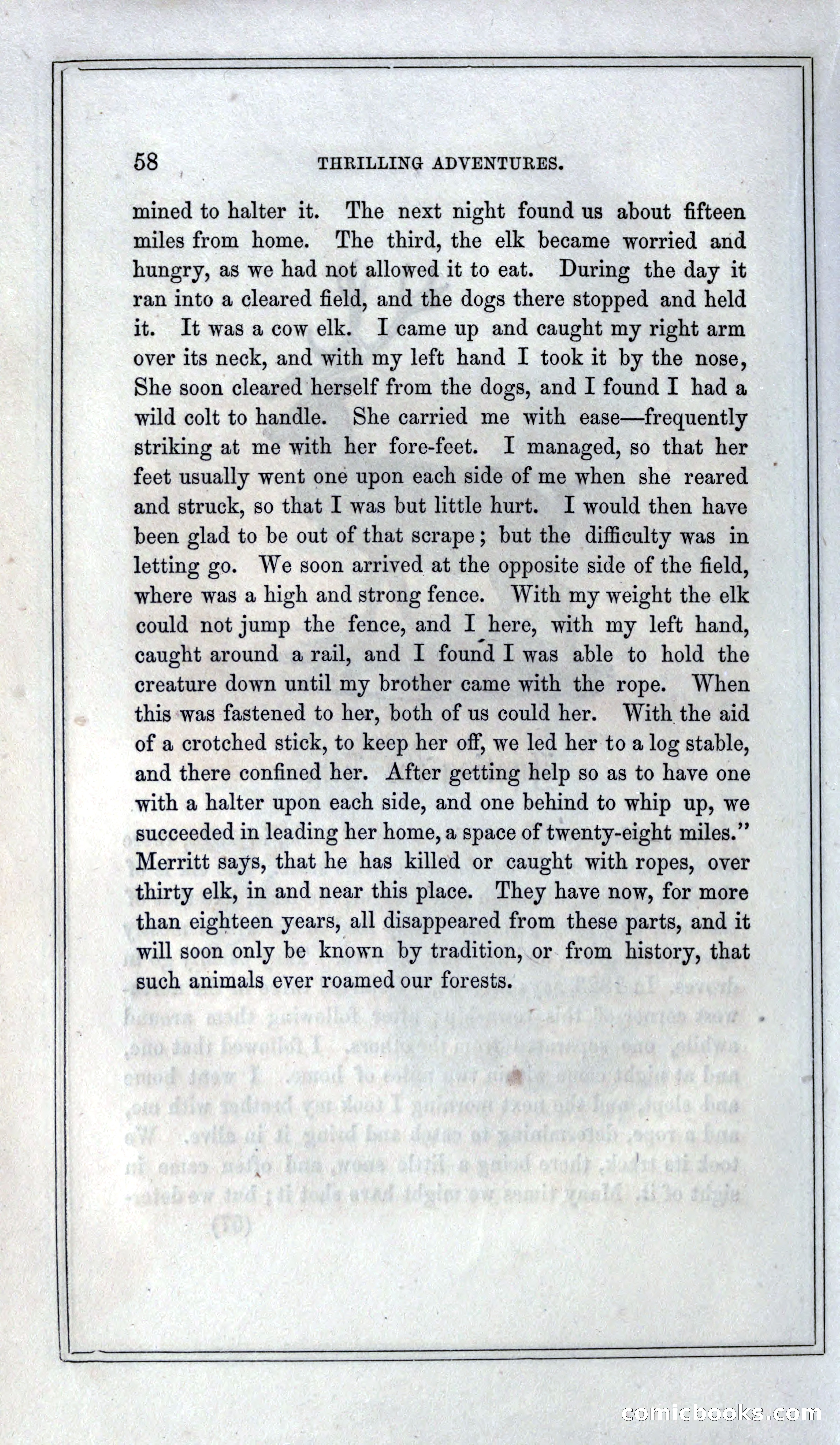 Thrilling Adventures of Hunters, in the Old World and the New — page 70 of 399
