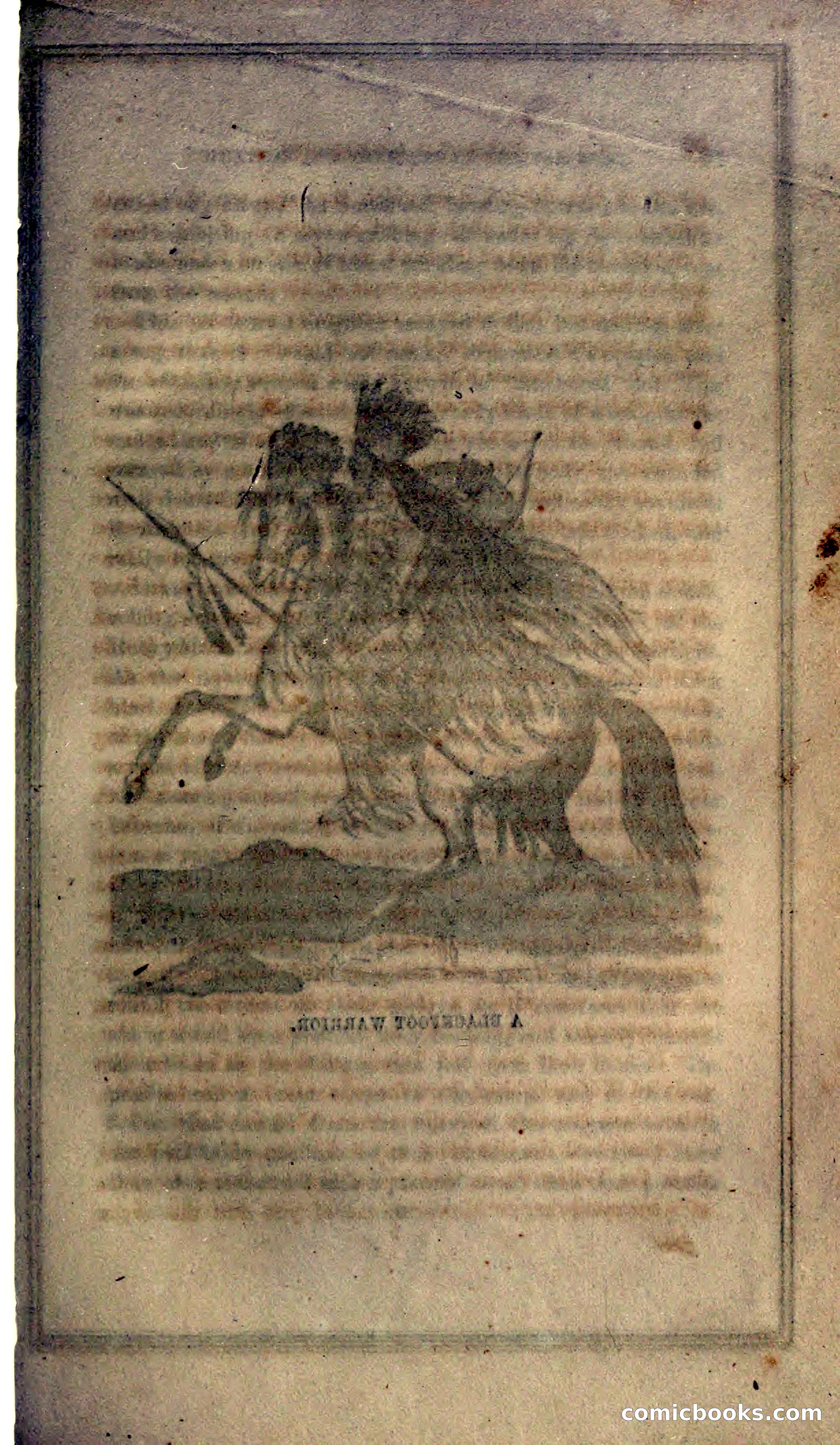 Thrilling Adventures of Hunters, in the Old World and the New — page 75 of 399