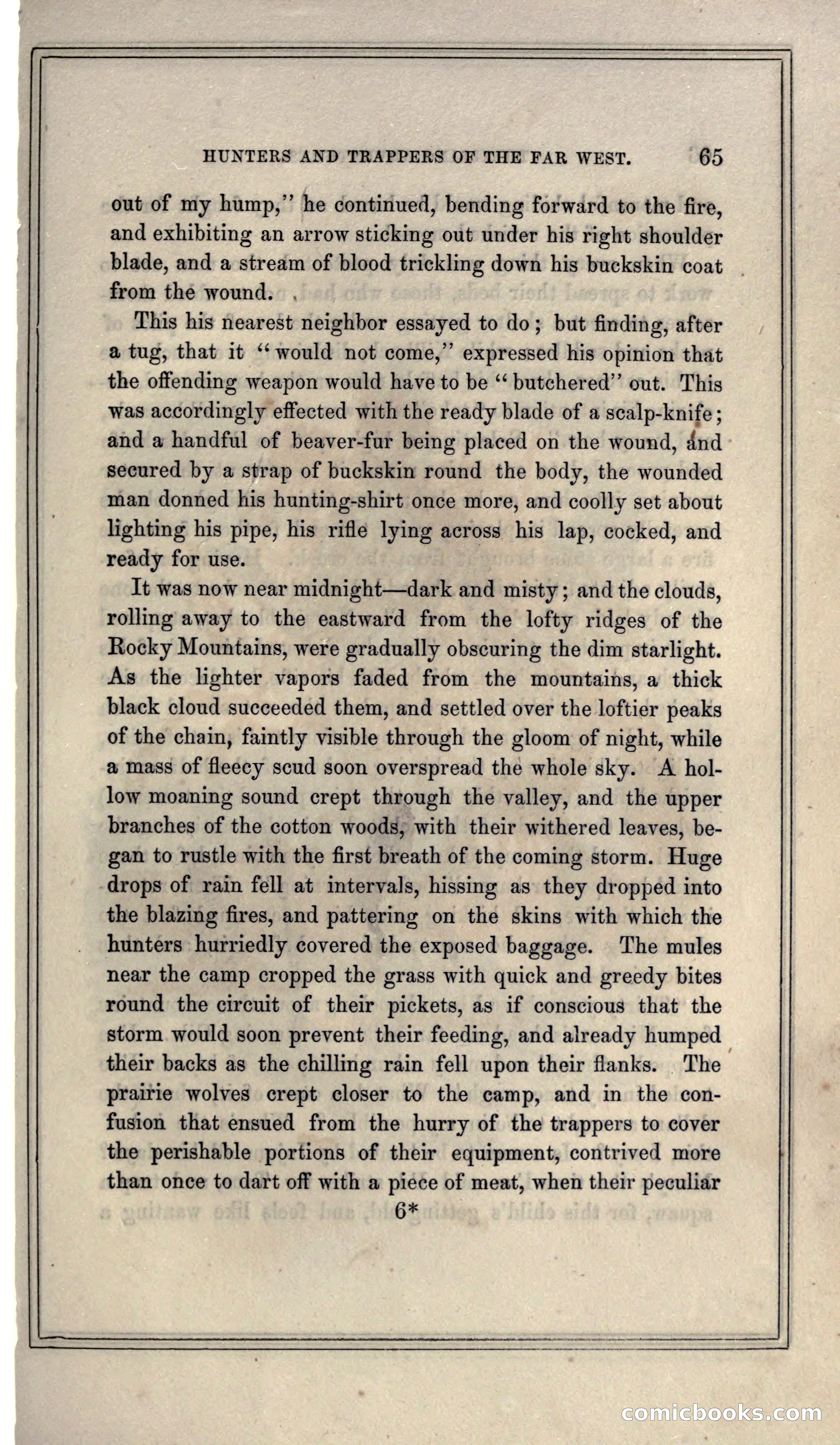 Thrilling Adventures of Hunters, in the Old World and the New — page 77 of 399