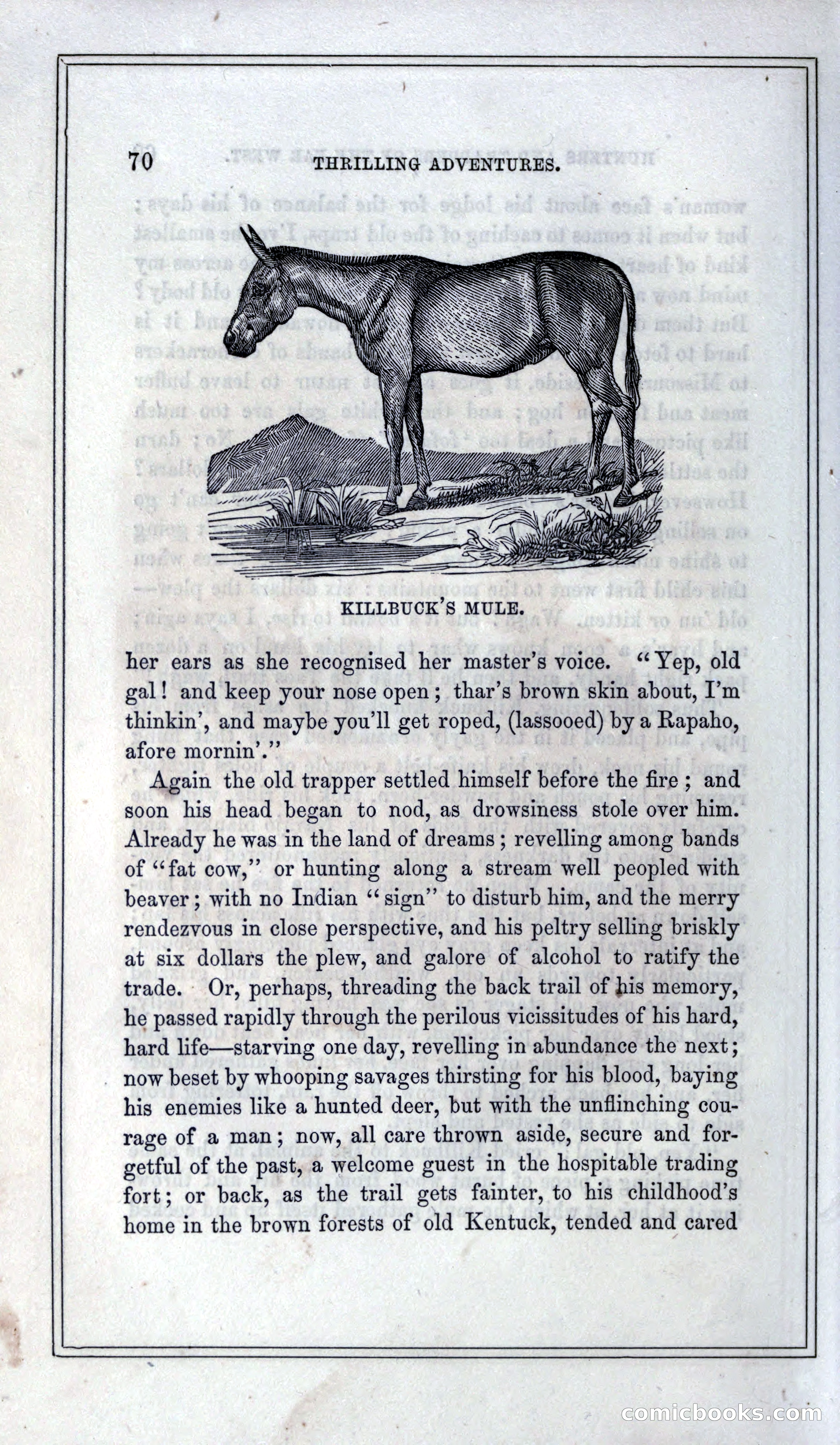 Thrilling Adventures of Hunters, in the Old World and the New — page 82 of 399