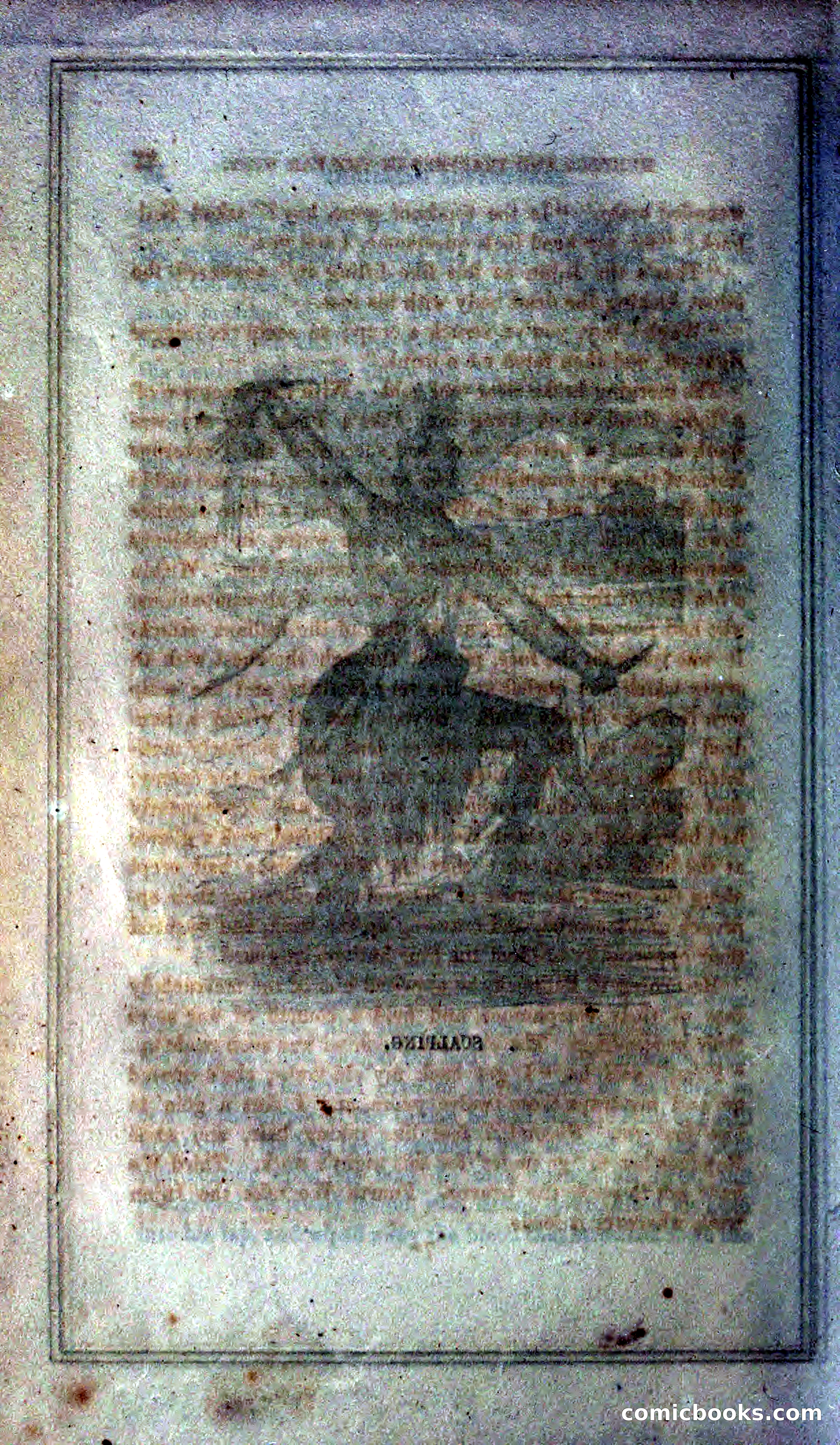 Thrilling Adventures of Hunters, in the Old World and the New — page 88 of 399