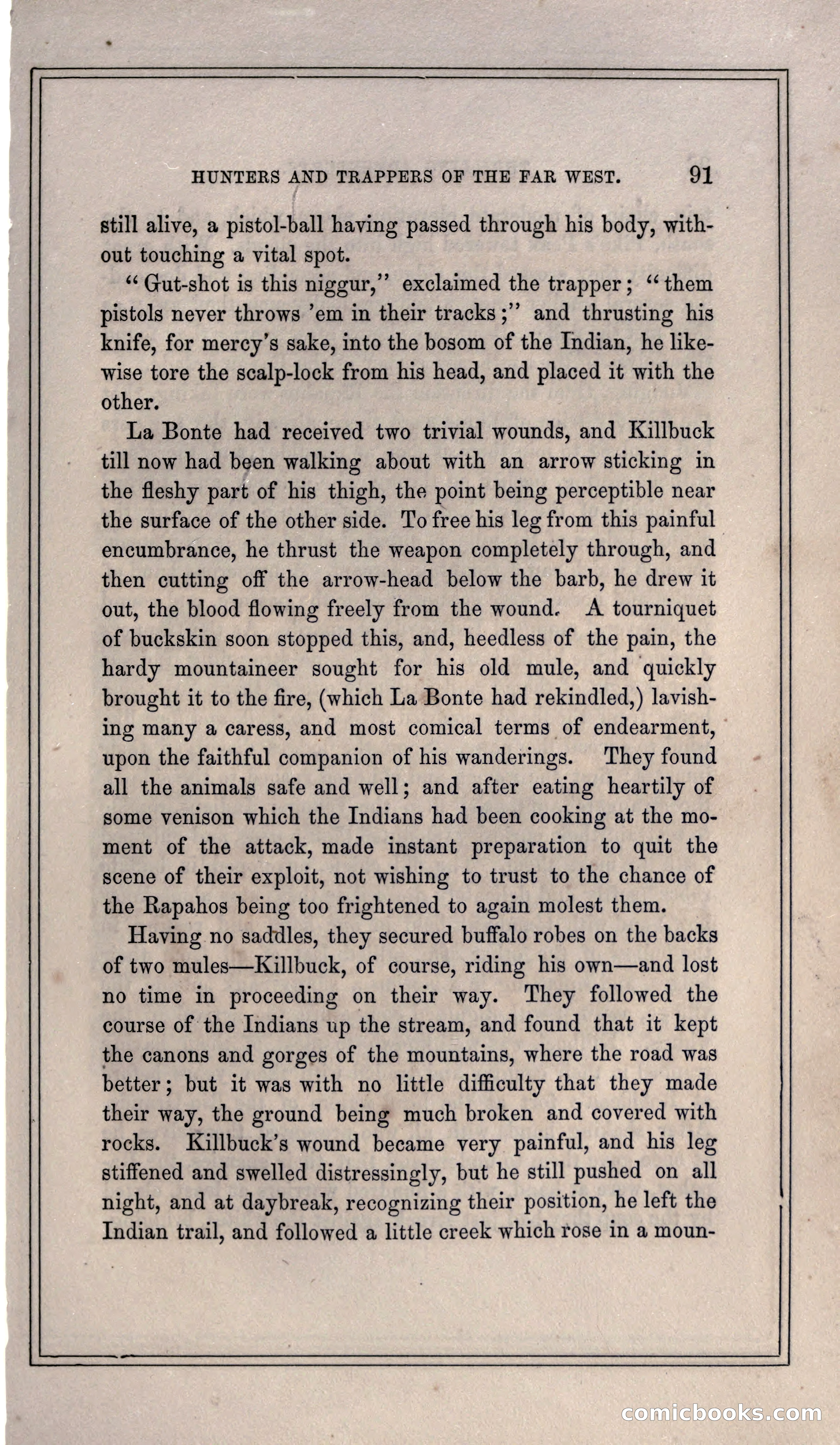 Thrilling Adventures of Hunters, in the Old World and the New — page 103 of 399