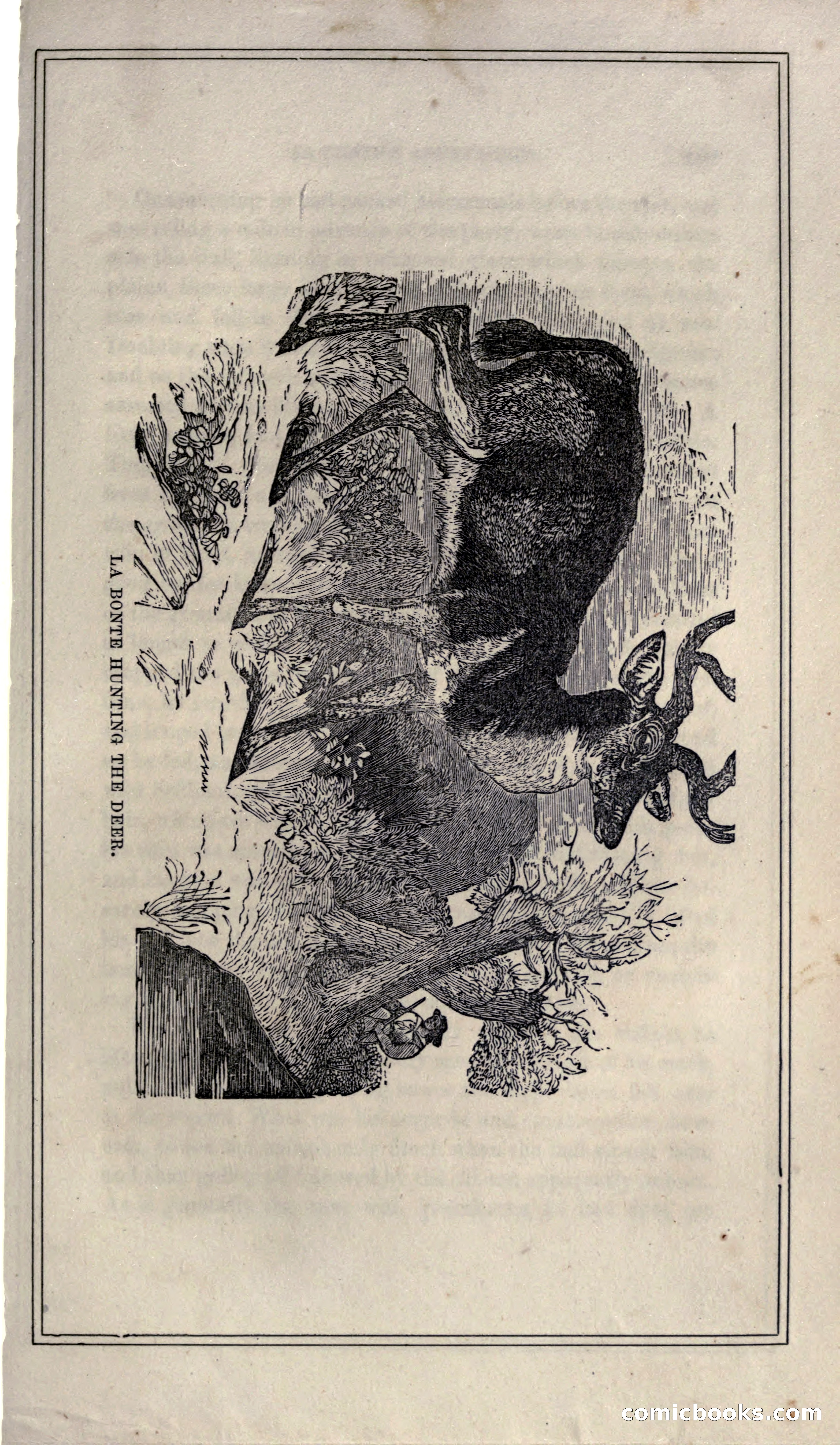 Thrilling Adventures of Hunters, in the Old World and the New — page 117 of 399