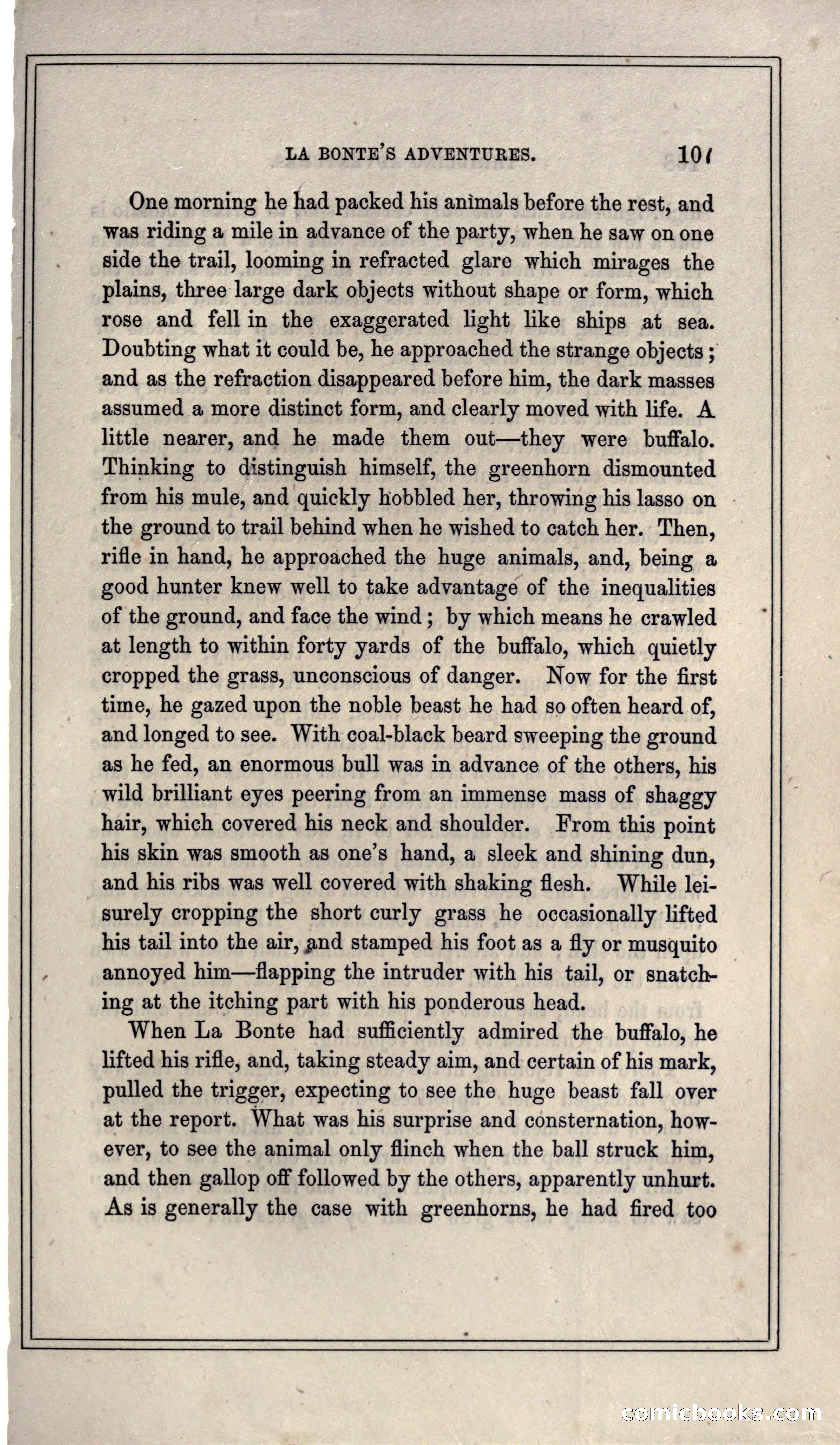 Thrilling Adventures of Hunters, in the Old World and the New — page 119 of 399