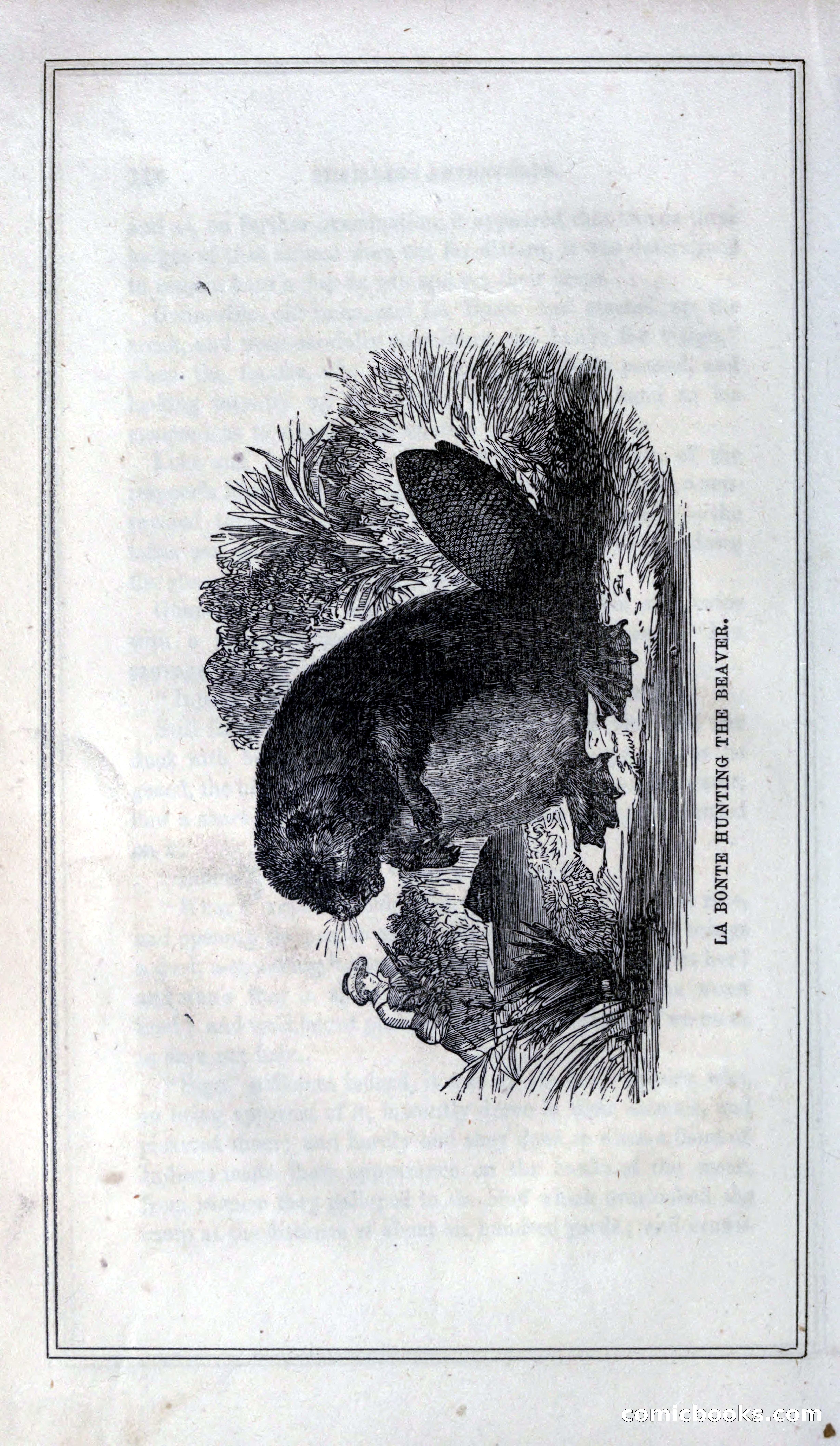 Thrilling Adventures of Hunters, in the Old World and the New — page 130 of 399