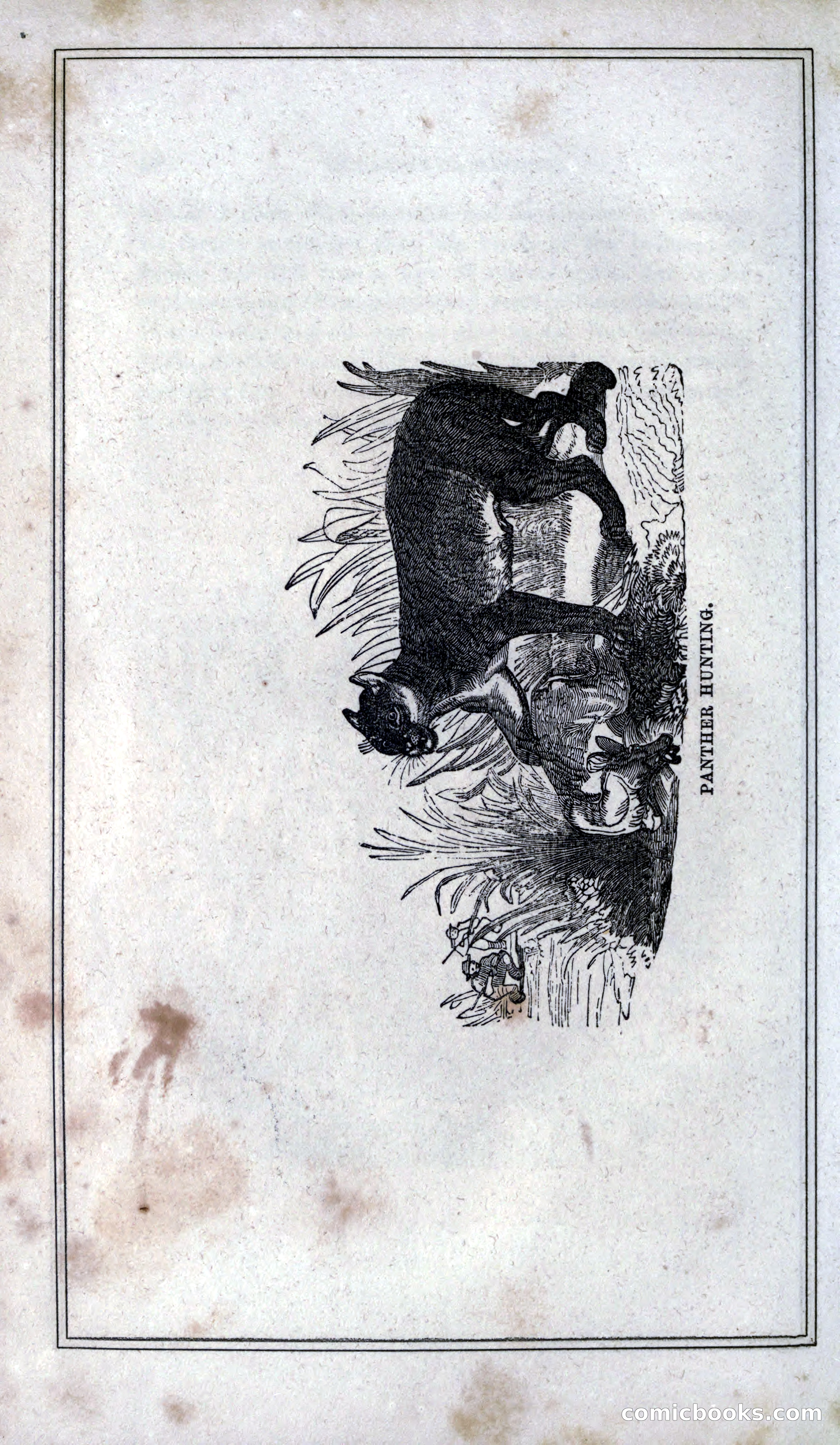 Thrilling Adventures of Hunters, in the Old World and the New — page 156 of 399