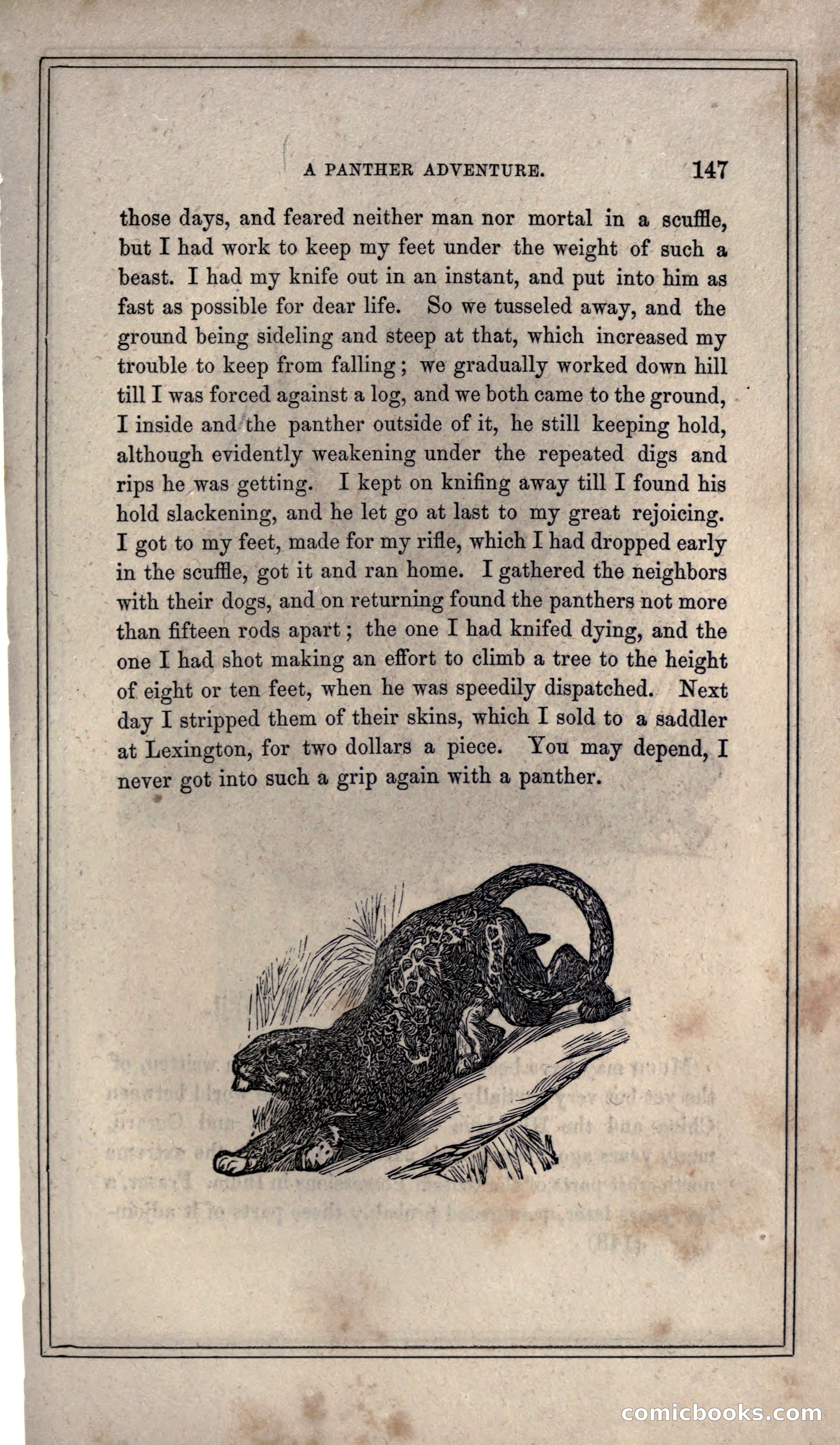 Thrilling Adventures of Hunters, in the Old World and the New — page 159 of 399