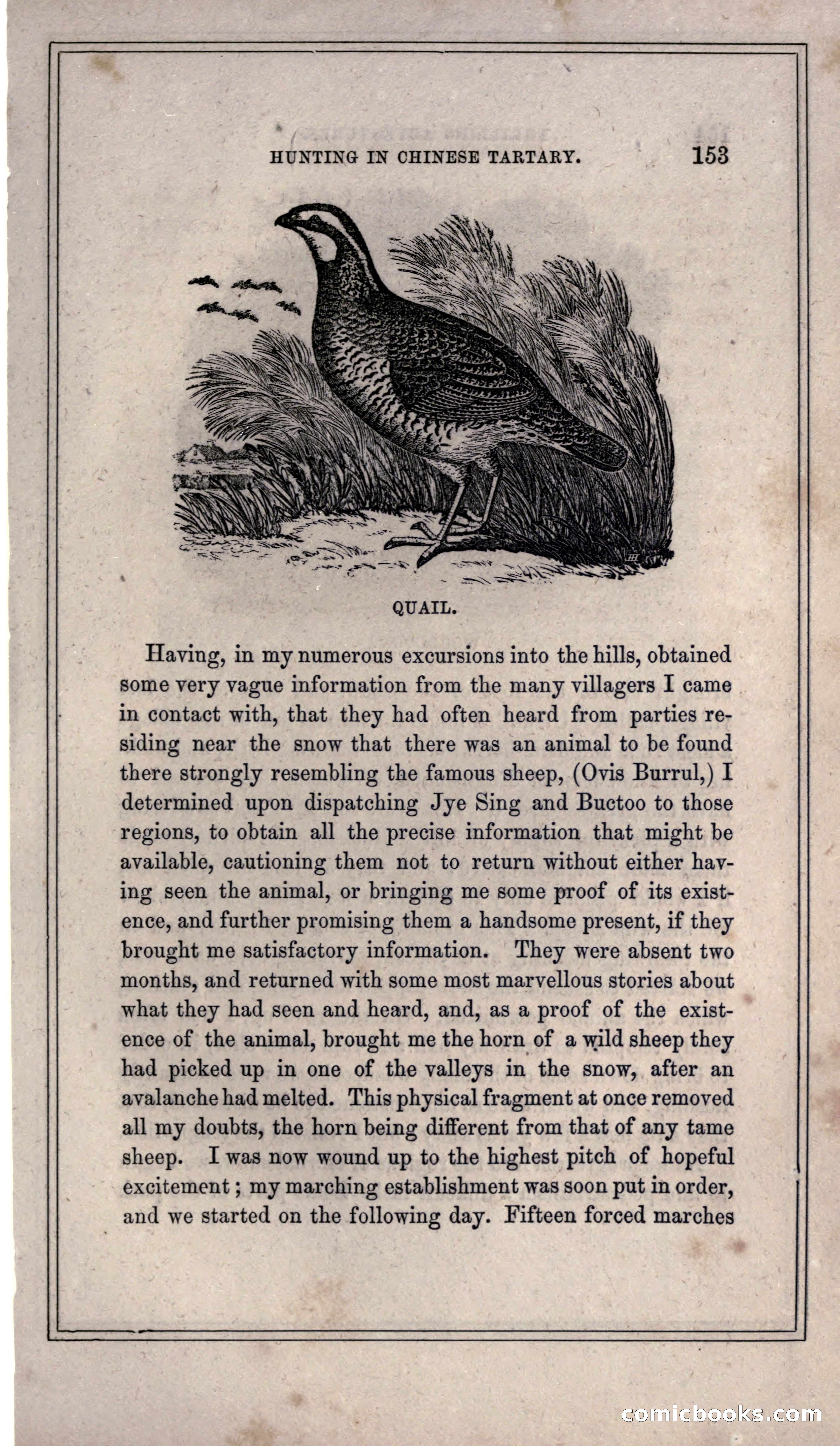 Thrilling Adventures of Hunters, in the Old World and the New — page 165 of 399