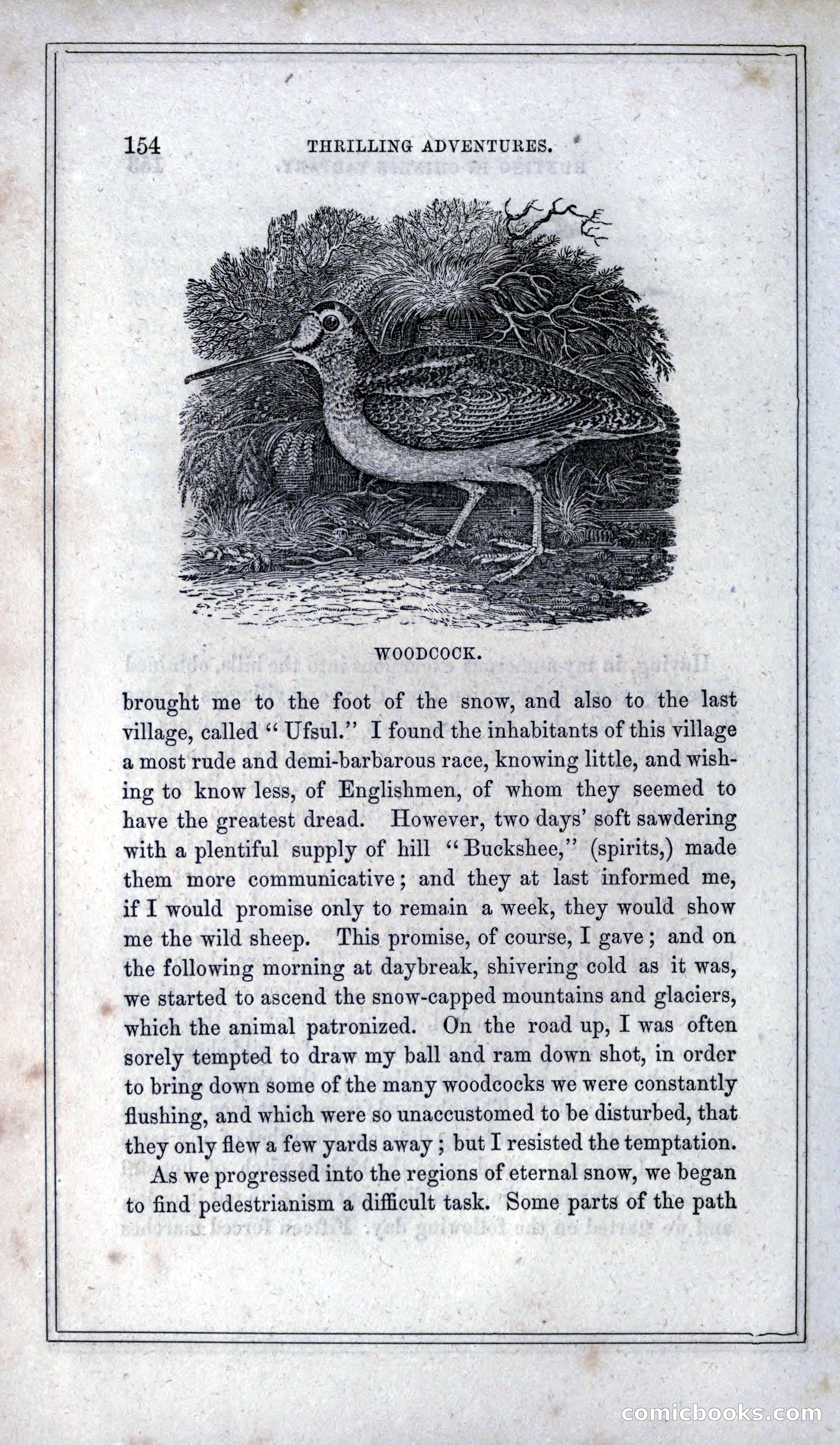 Thrilling Adventures of Hunters, in the Old World and the New — page 166 of 399