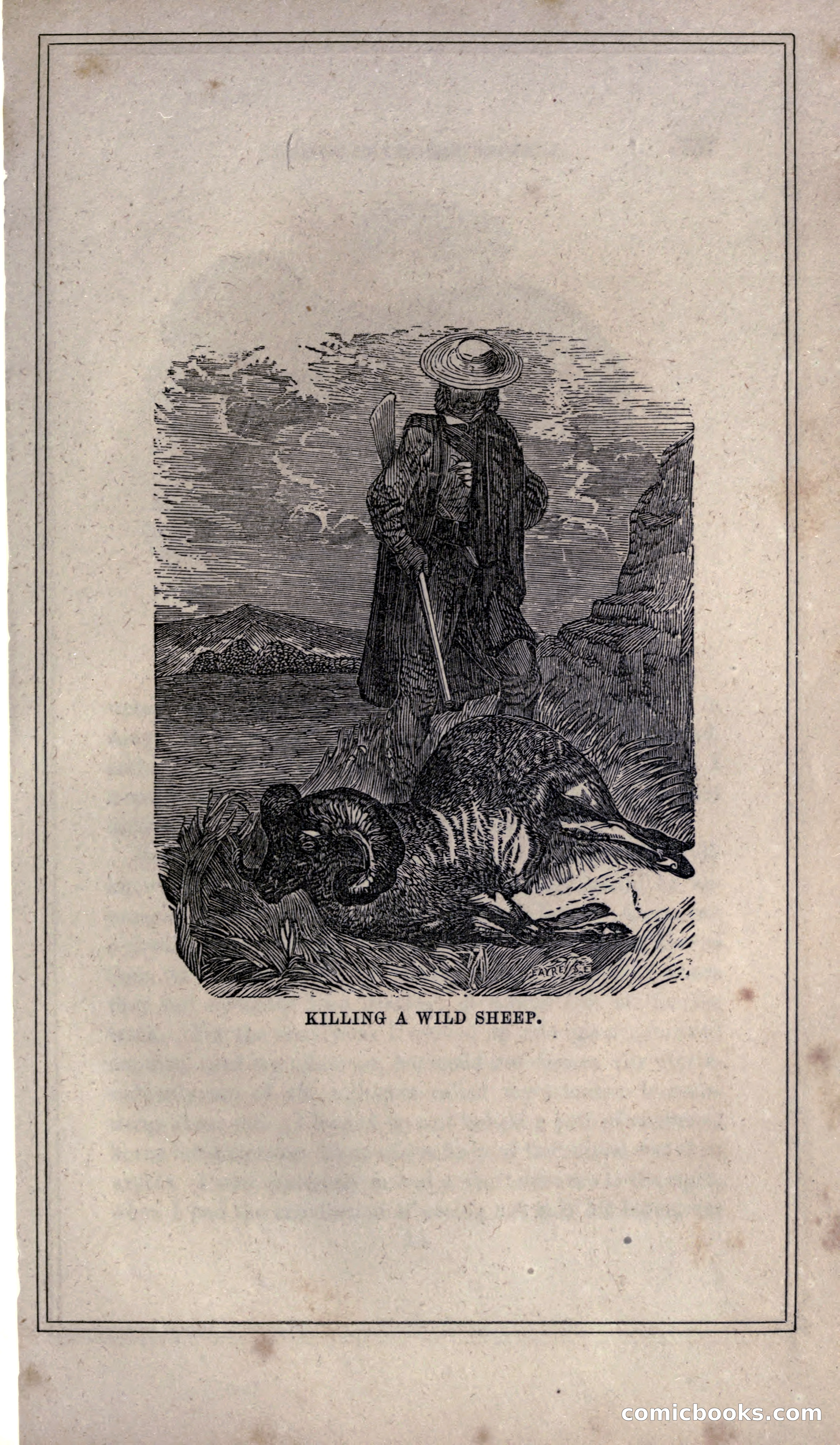 Thrilling Adventures of Hunters, in the Old World and the New — page 167 of 399