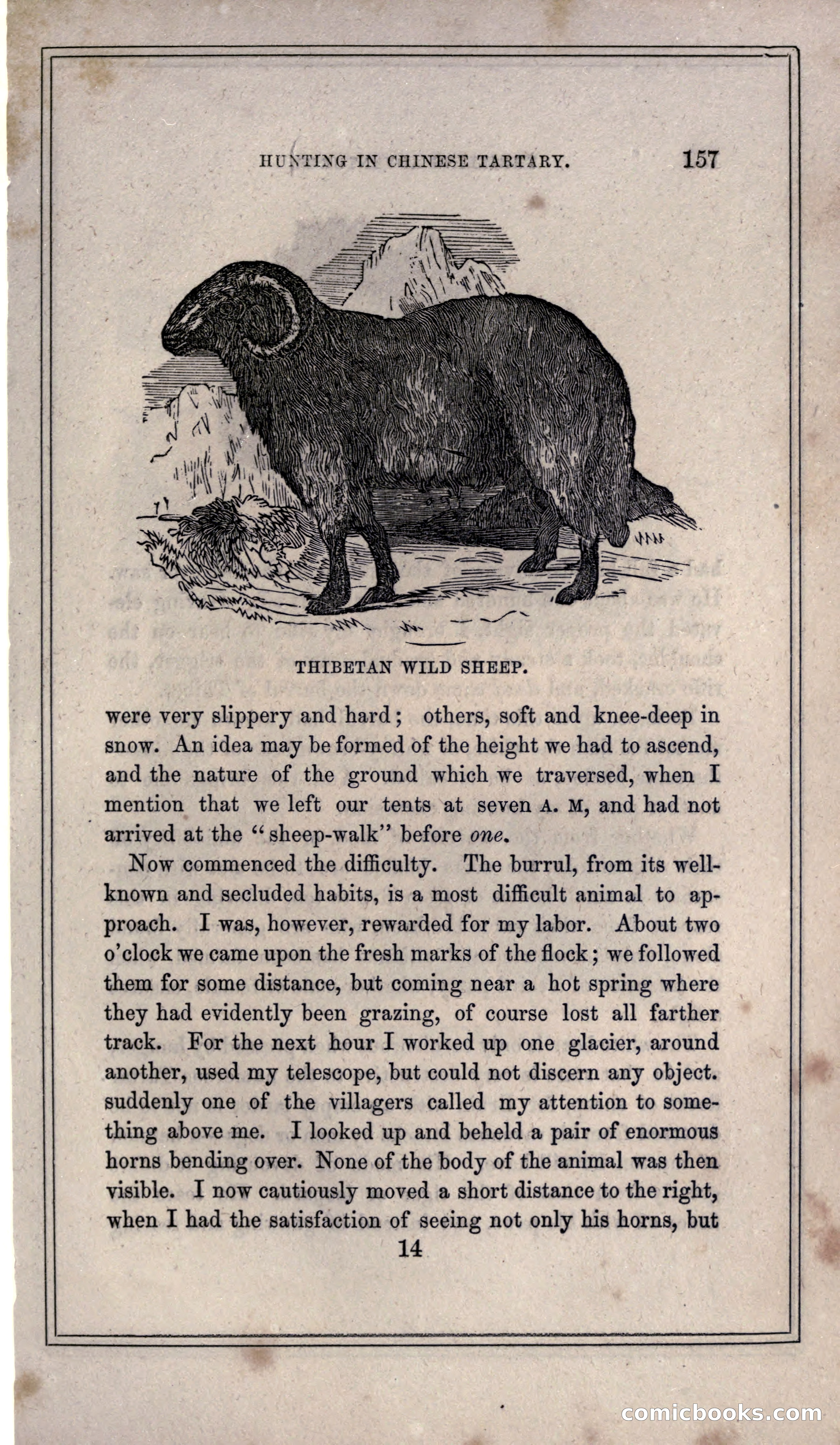 Thrilling Adventures of Hunters, in the Old World and the New — page 169 of 399