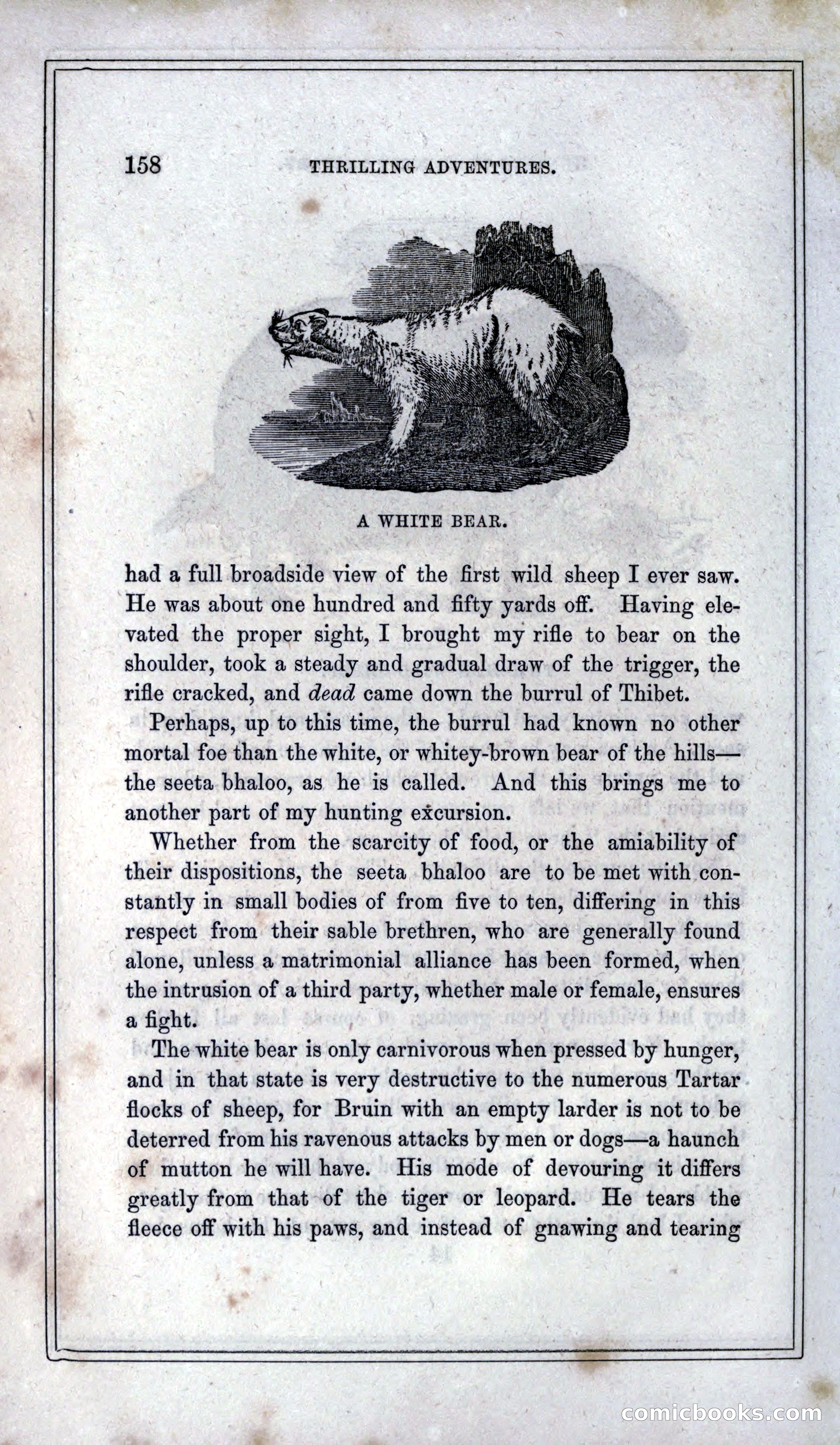 Thrilling Adventures of Hunters, in the Old World and the New — page 170 of 399
