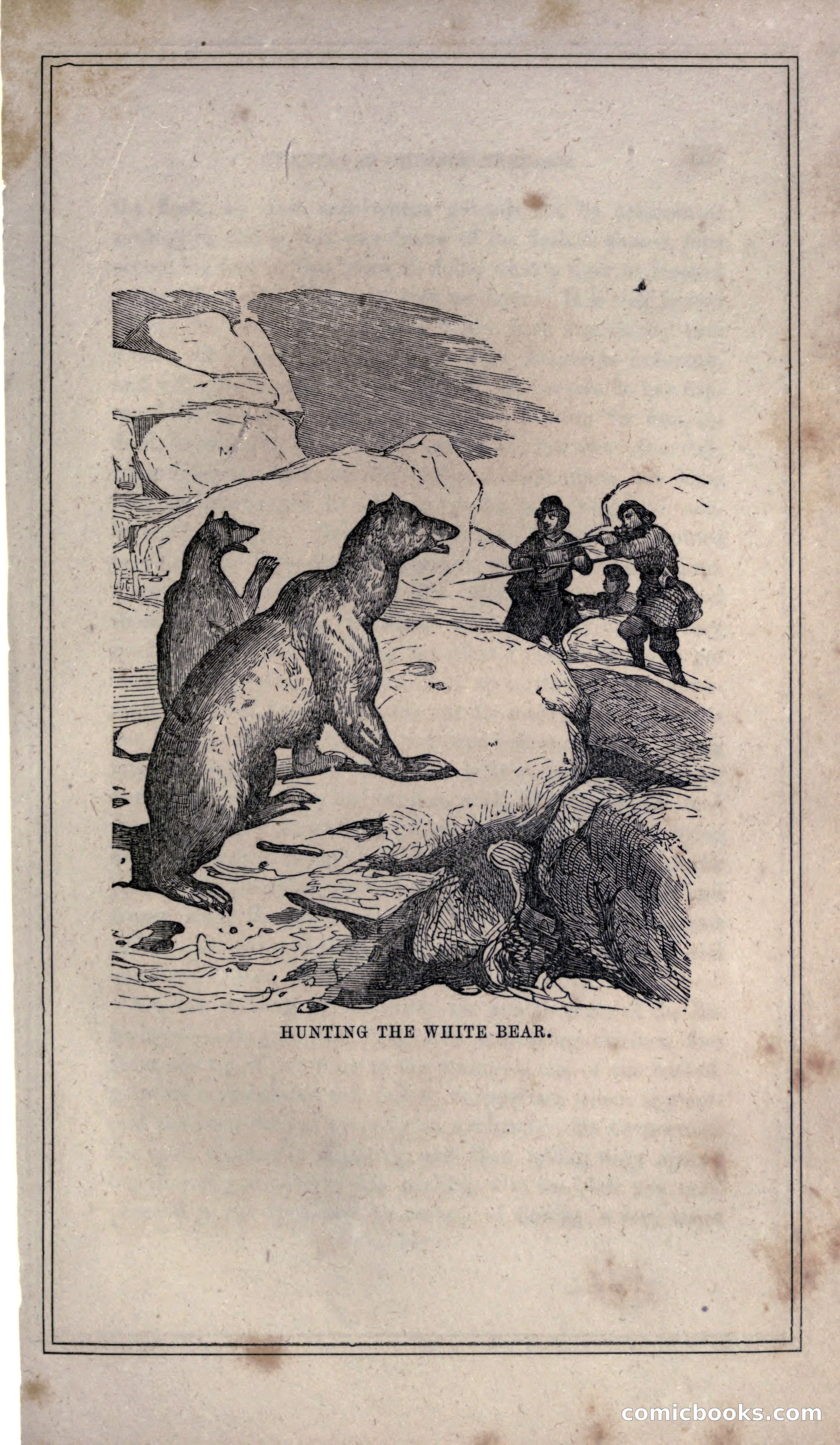 Thrilling Adventures of Hunters, in the Old World and the New — page 171 of 399