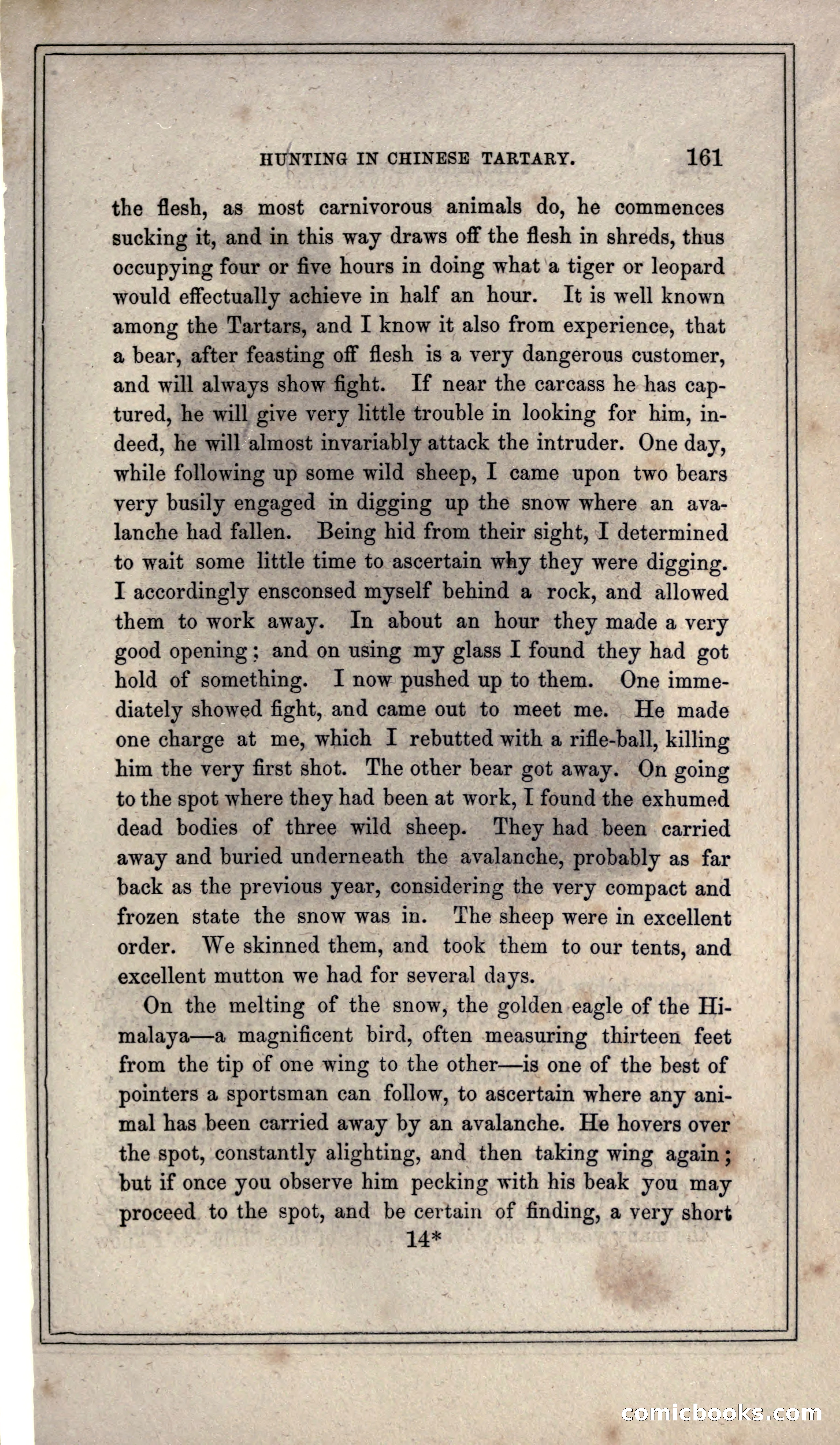 Thrilling Adventures of Hunters, in the Old World and the New — page 173 of 399