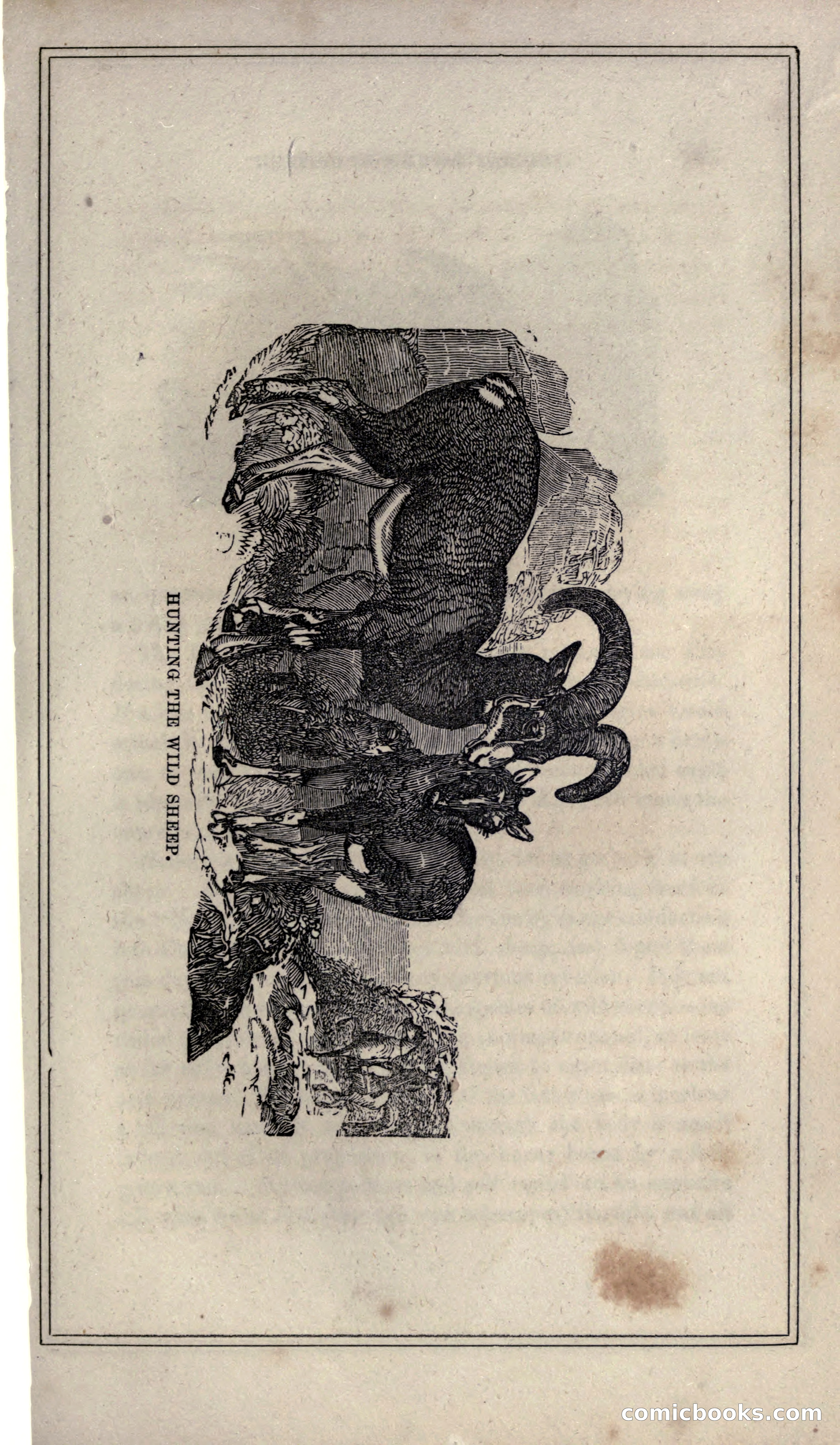 Thrilling Adventures of Hunters, in the Old World and the New — page 175 of 399