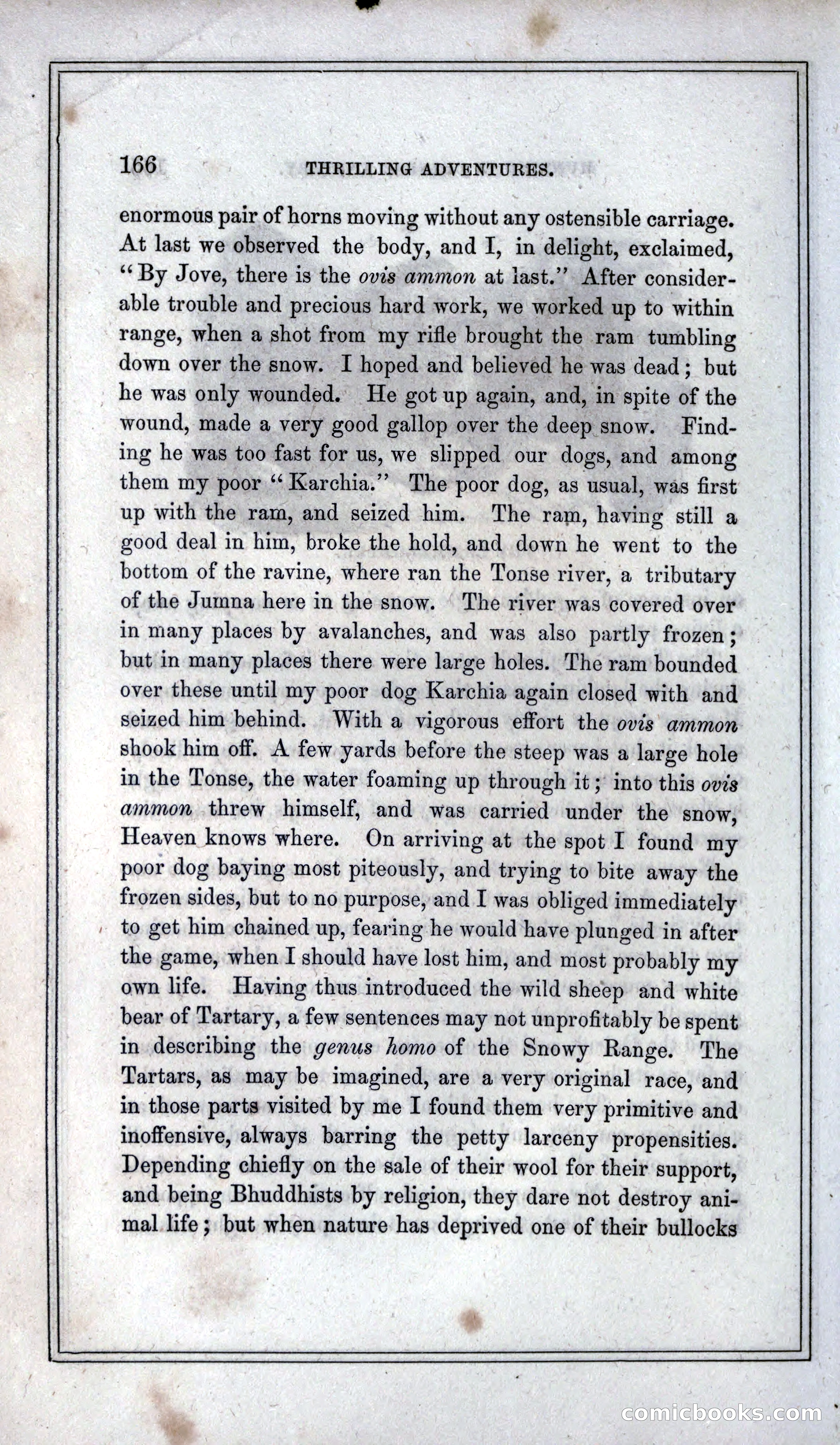 Thrilling Adventures of Hunters, in the Old World and the New — page 178 of 399