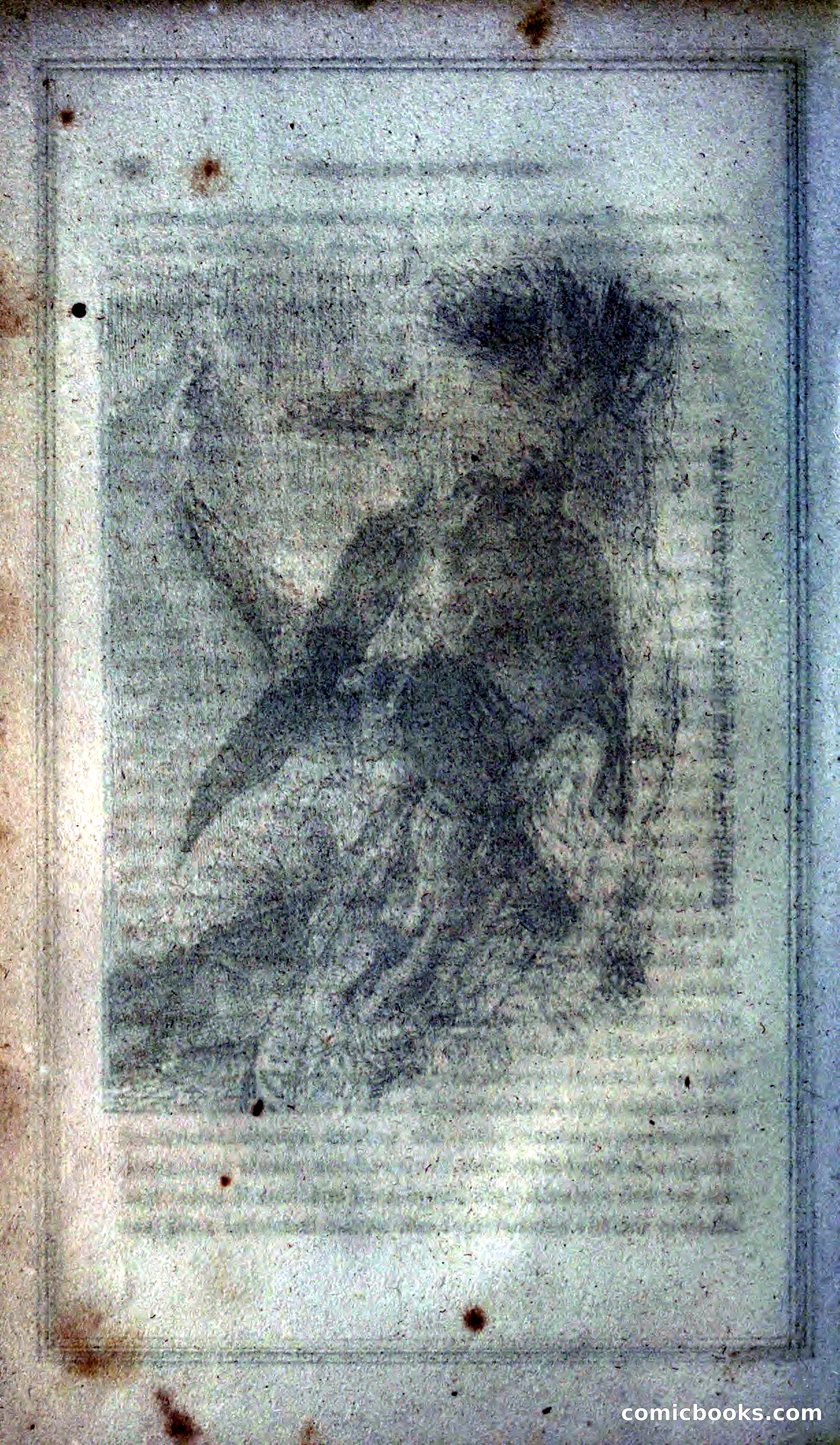Thrilling Adventures of Hunters, in the Old World and the New — page 180 of 399