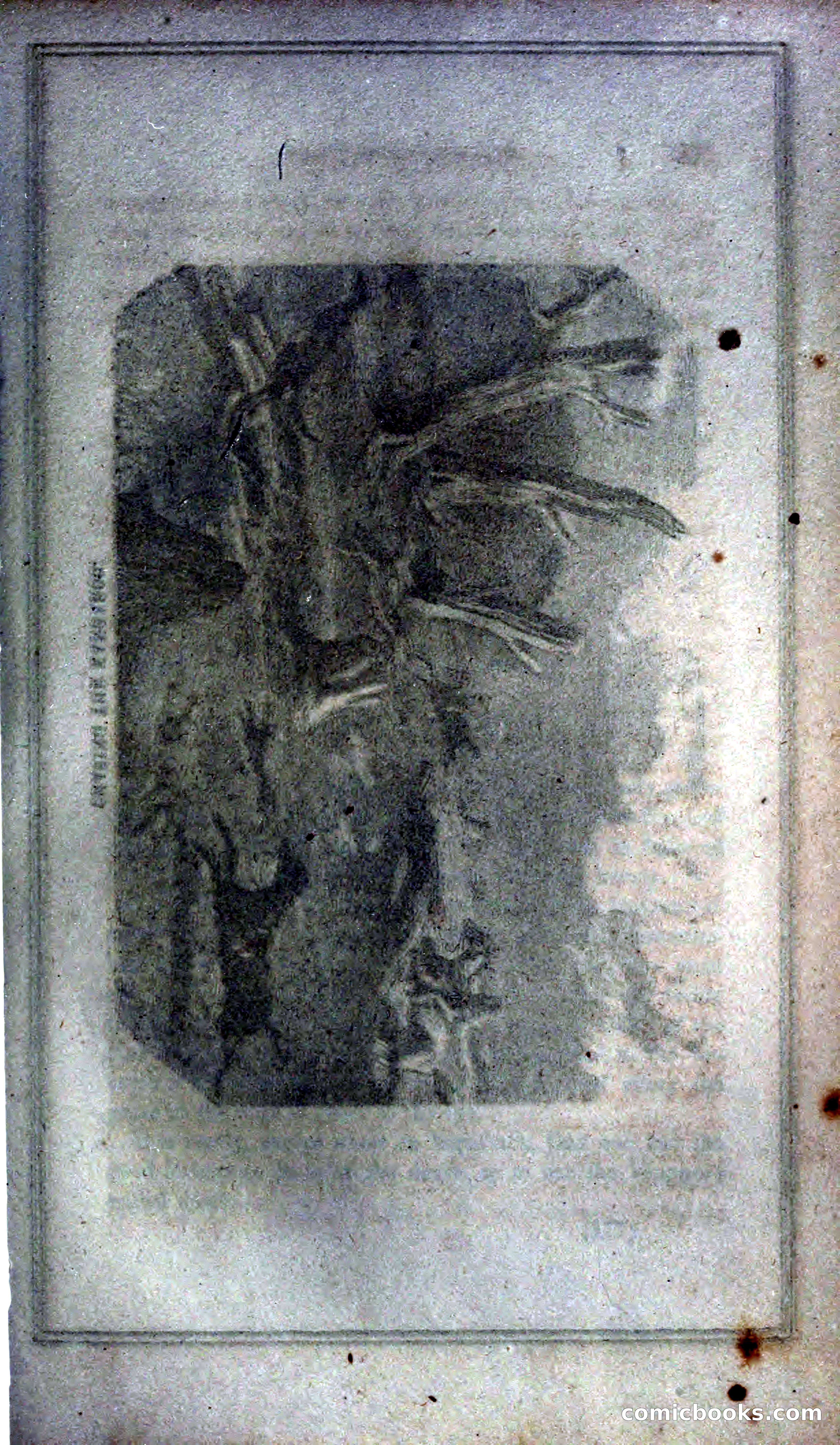 Thrilling Adventures of Hunters, in the Old World and the New — page 187 of 399