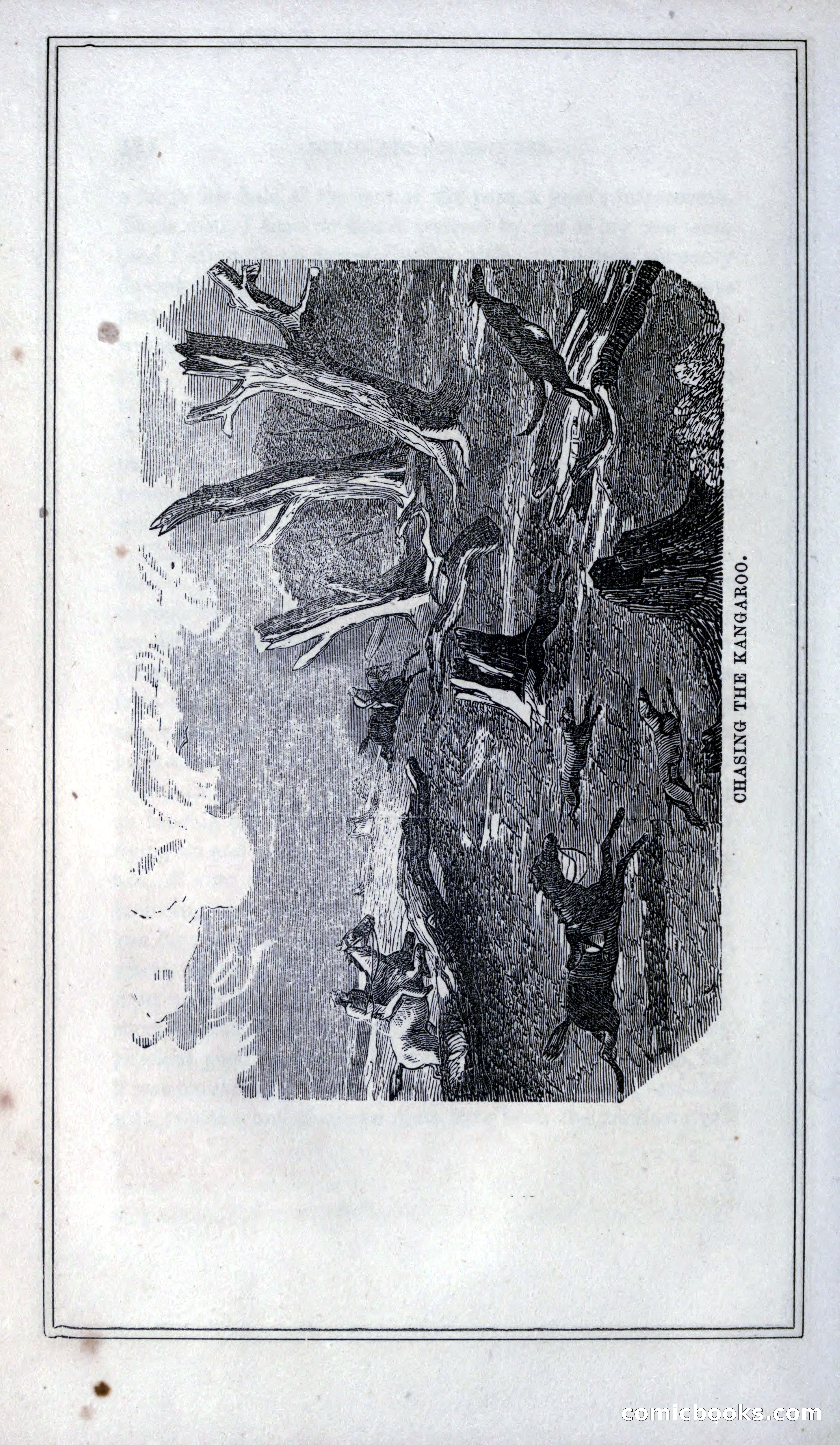 Thrilling Adventures of Hunters, in the Old World and the New — page 188 of 399