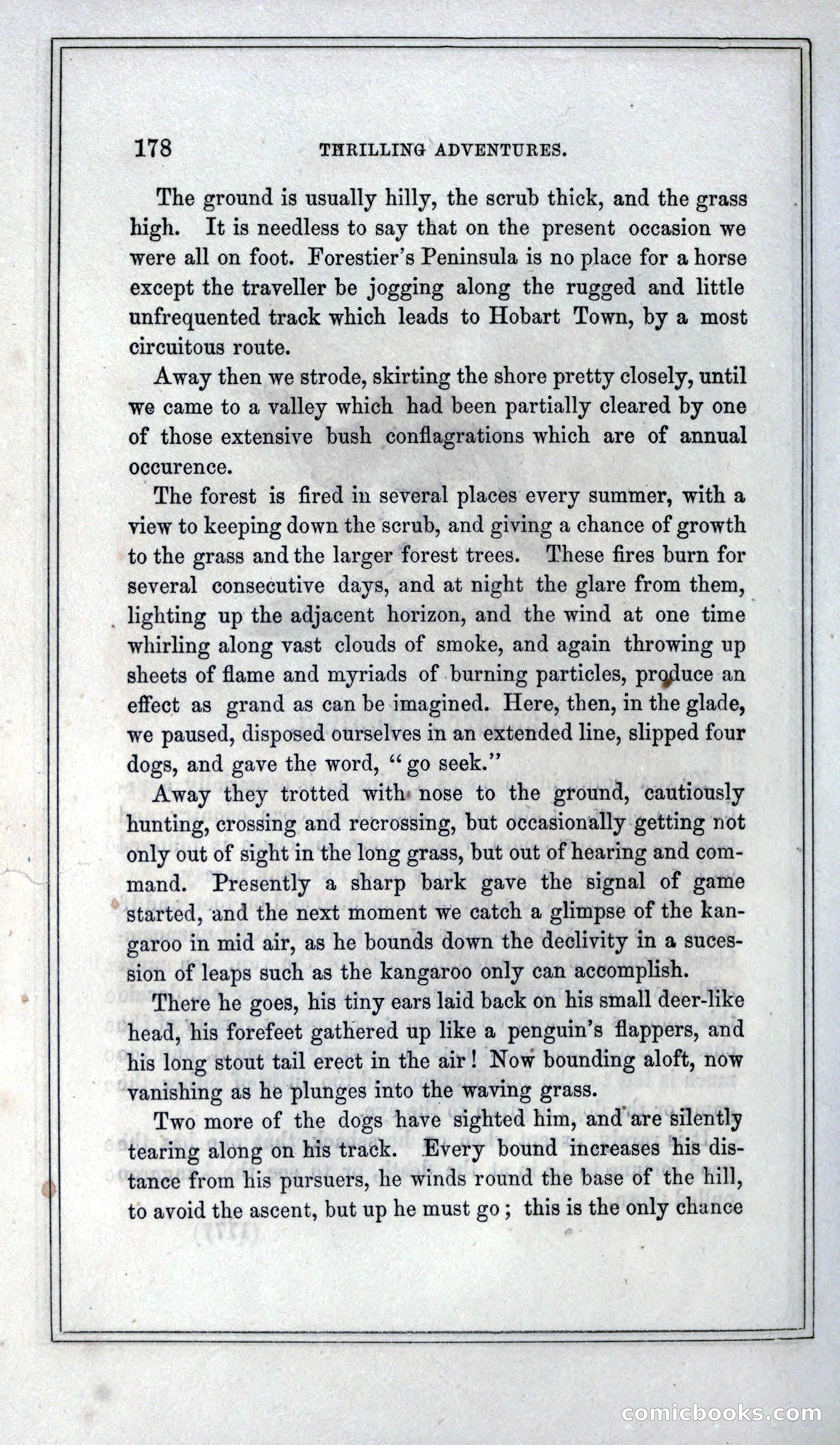 Thrilling Adventures of Hunters, in the Old World and the New — page 190 of 399