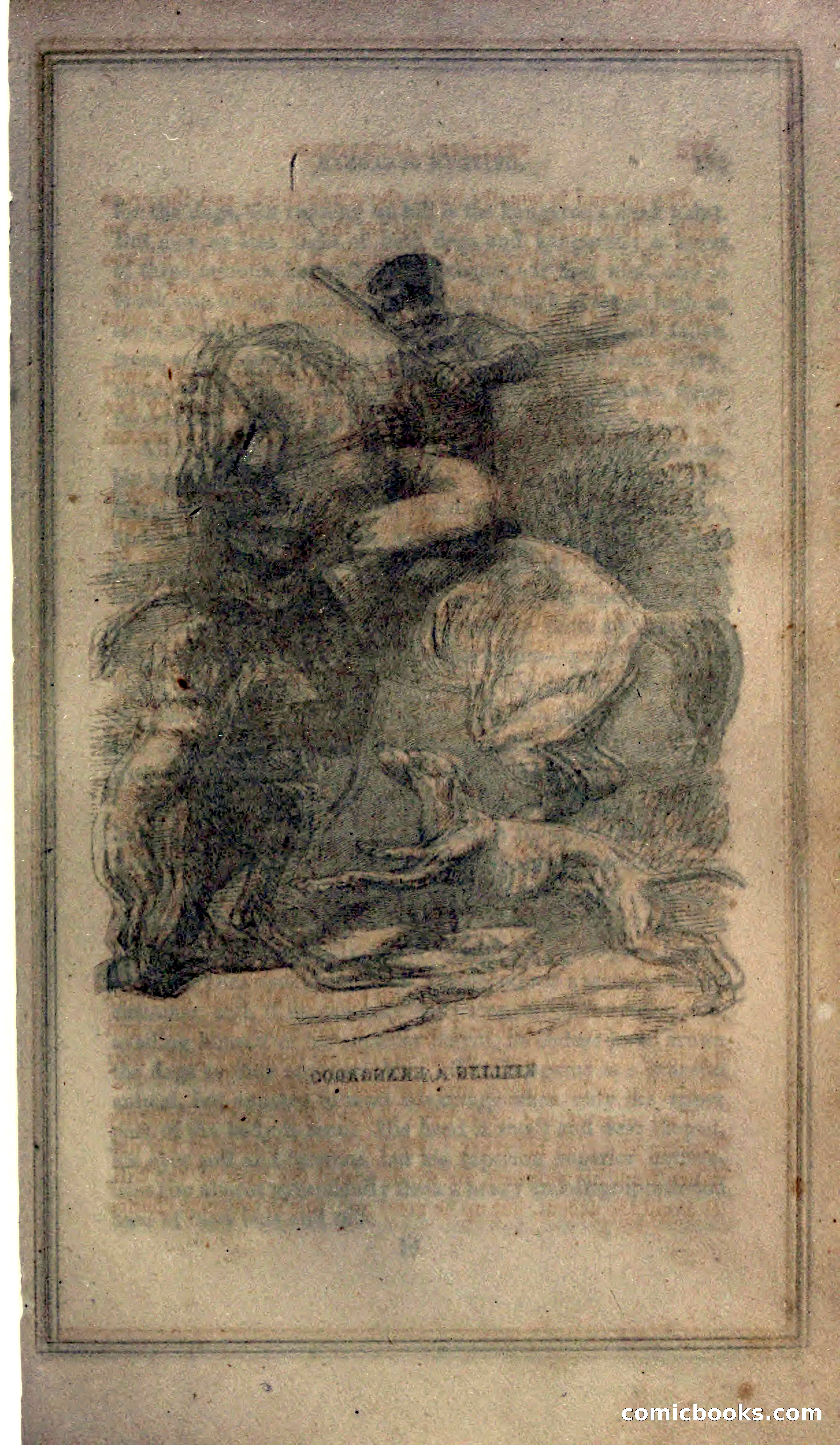Thrilling Adventures of Hunters, in the Old World and the New — page 191 of 399