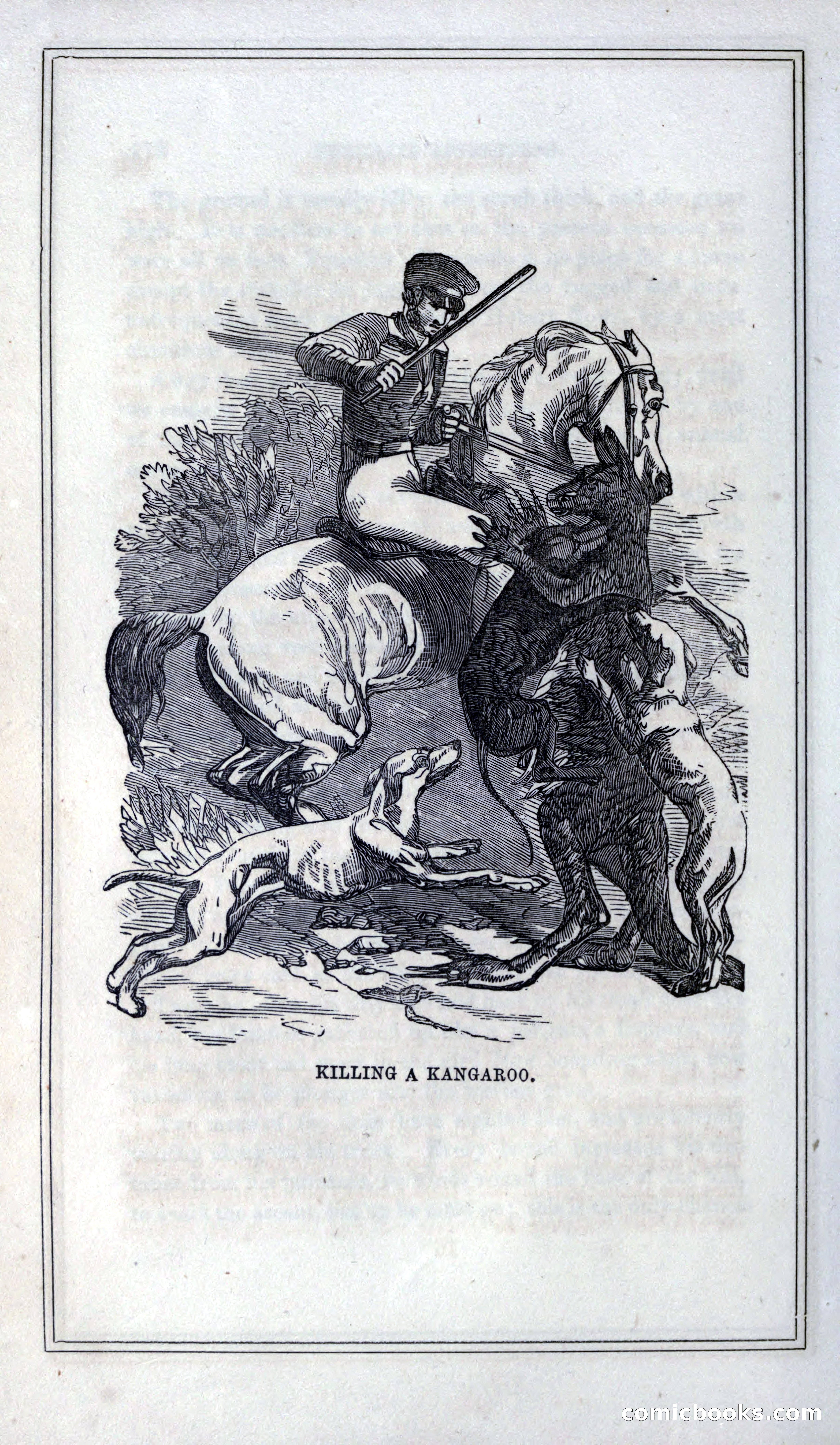 Thrilling Adventures of Hunters, in the Old World and the New — page 192 of 399