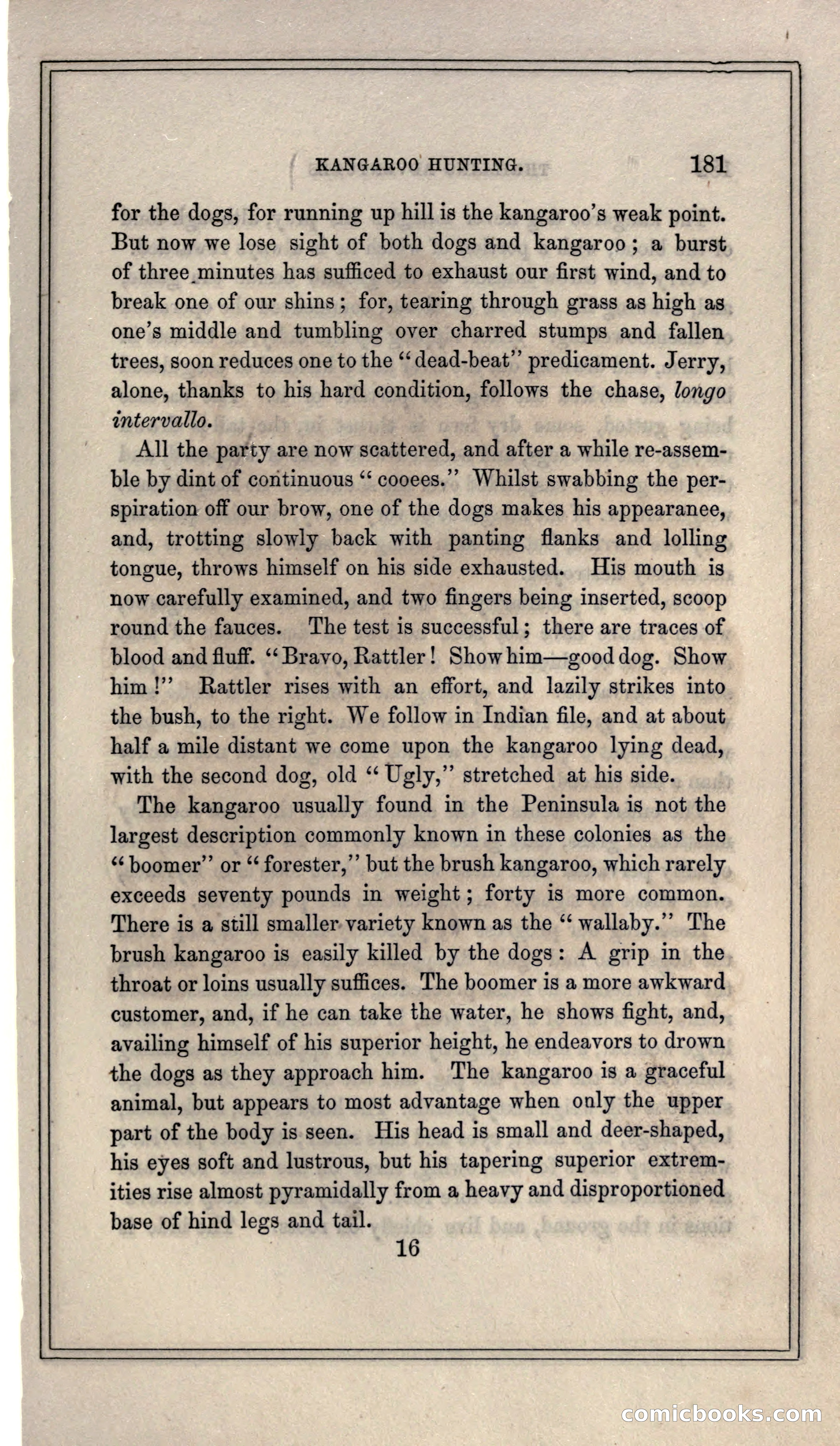 Thrilling Adventures of Hunters, in the Old World and the New — page 193 of 399